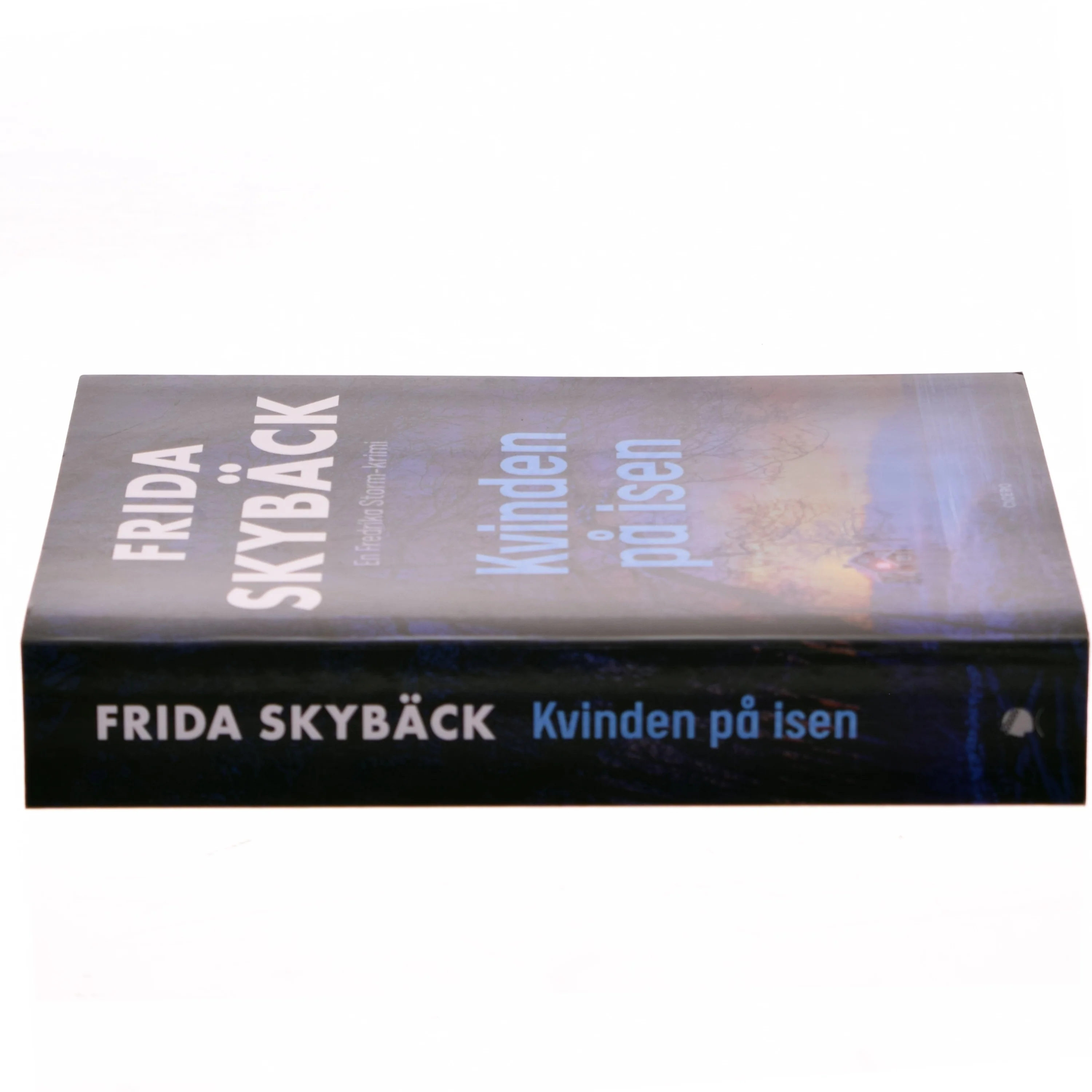 Kvinden på isen af Frida Skybäck (f. 1980) (Bog)