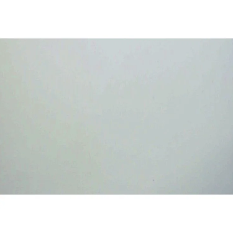 Hvorfor gør dyrene sådan? Pattedyr af Poul Thomsen (Bog)