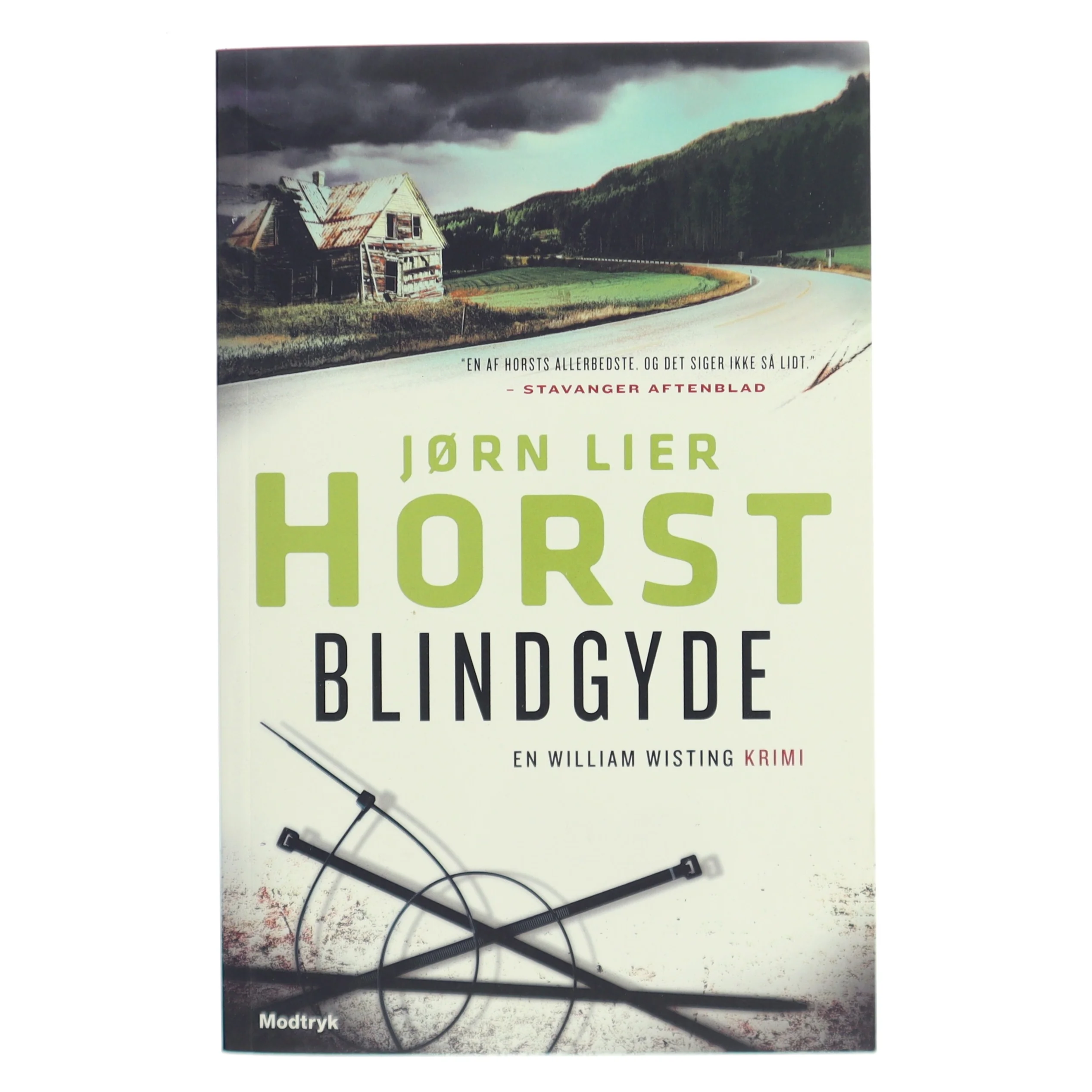 Blindgyde af Jørn Lier Horst (Bog)