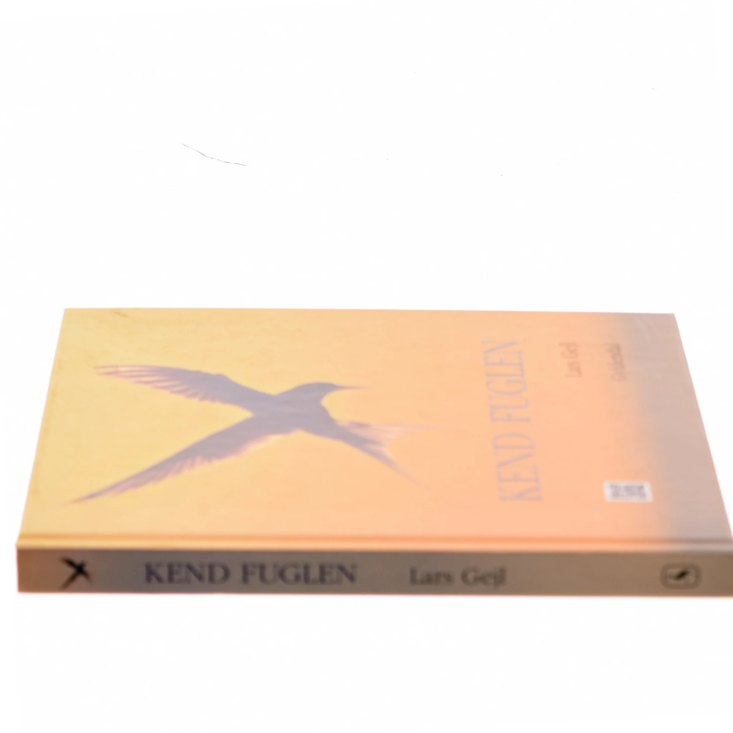 Kend fuglen af Lars Gejl (Bog)