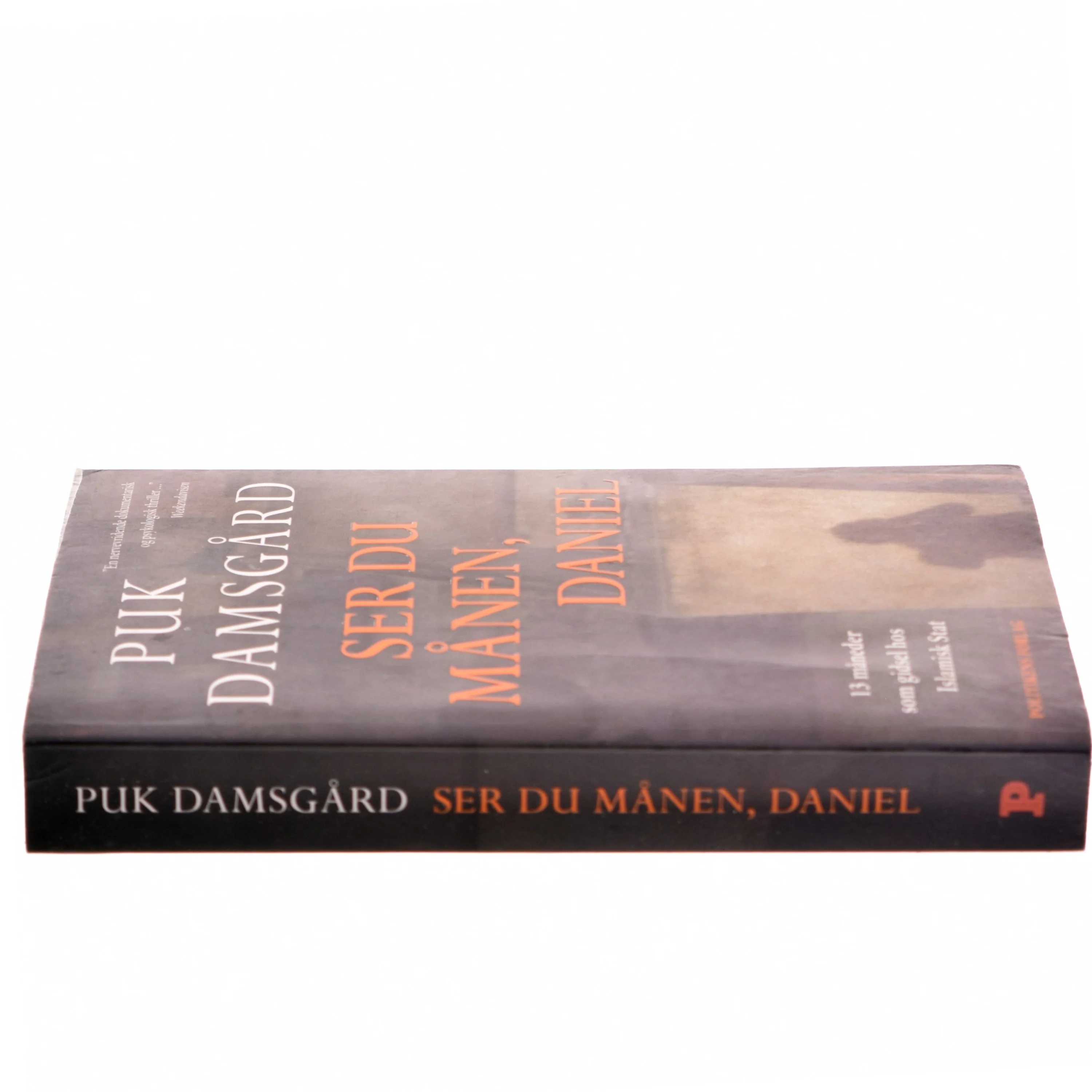 Ser du månen, Daniel af Puk Damsgård Andersen (Bog)