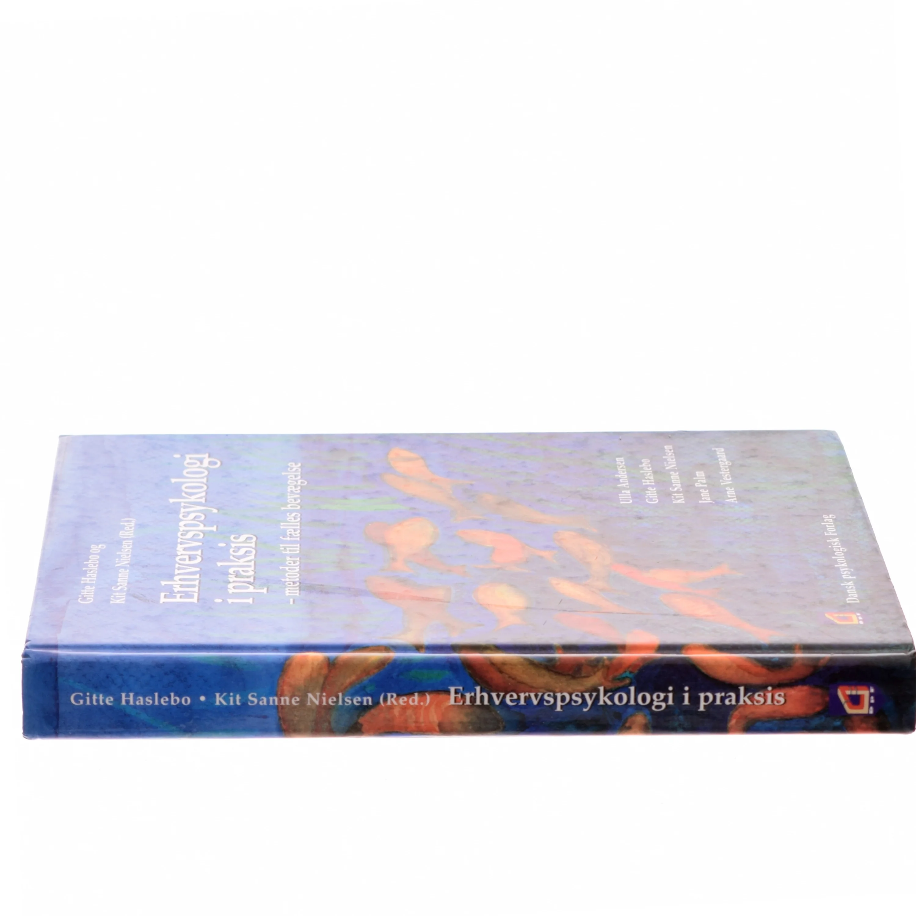 Erhvervspsykologi i praksis : metoder til fælles bevægelse (Bog)