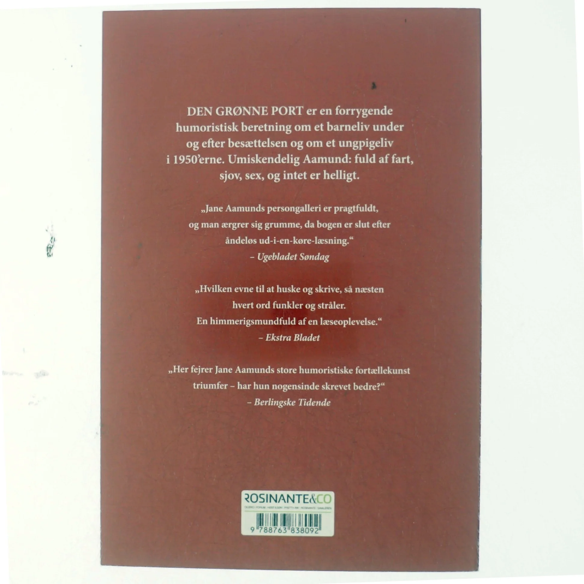 Den grønne port af Jane Aamund (Bog)