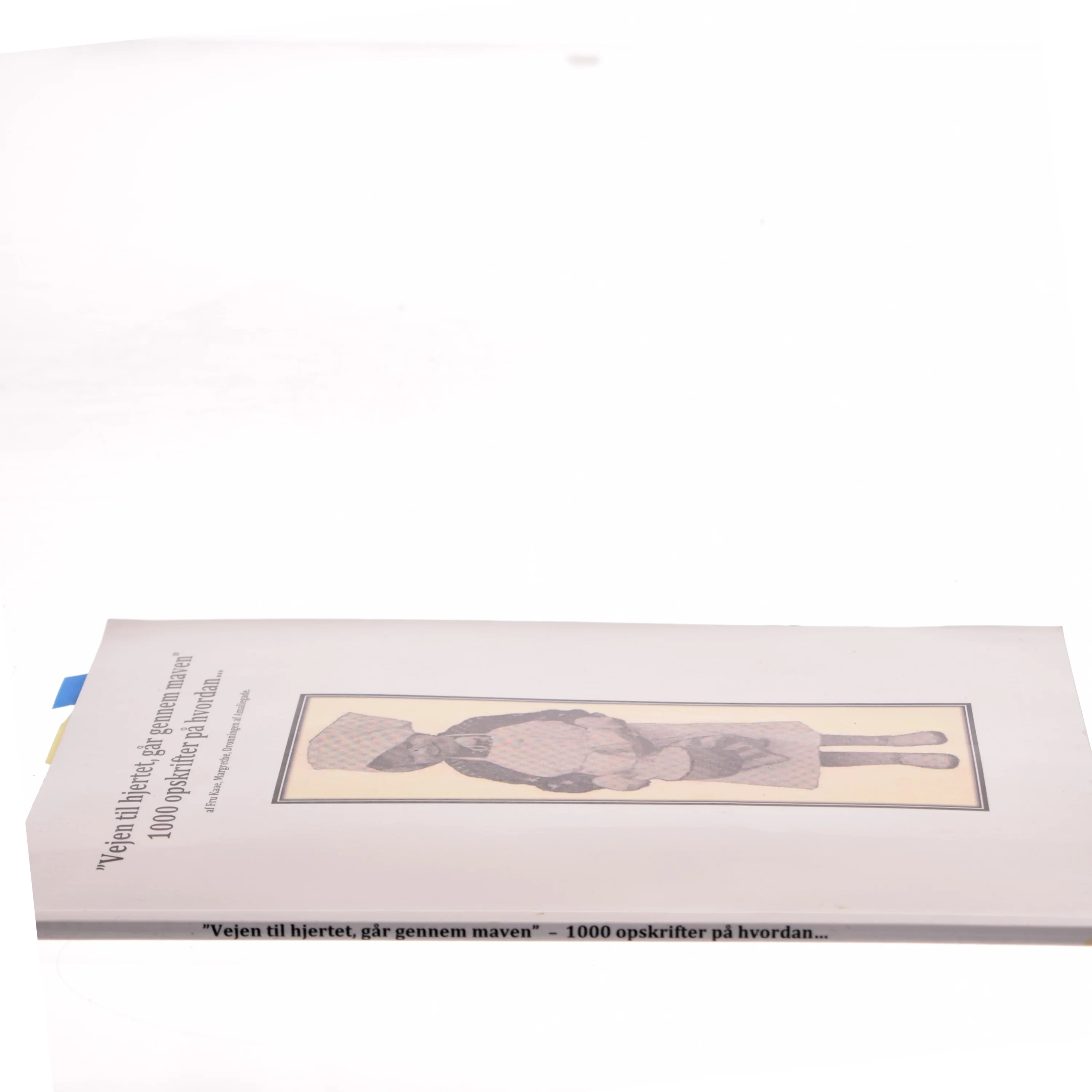 Vejen til hjertet, går gennem maven - 1000 opskrifter på hvordan... af Fru Kaae, Margrethe, Dronningen af Amaliegade (Bog)