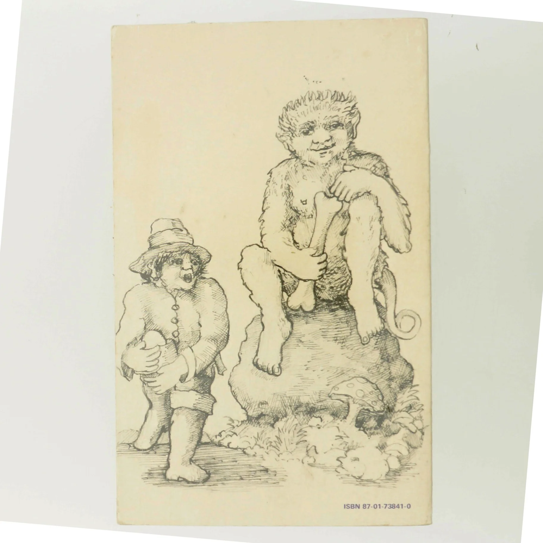 Niels Bonde fra Bol og Tom Bombadils Eventyr af J.R.R. Tolkien (Bog)