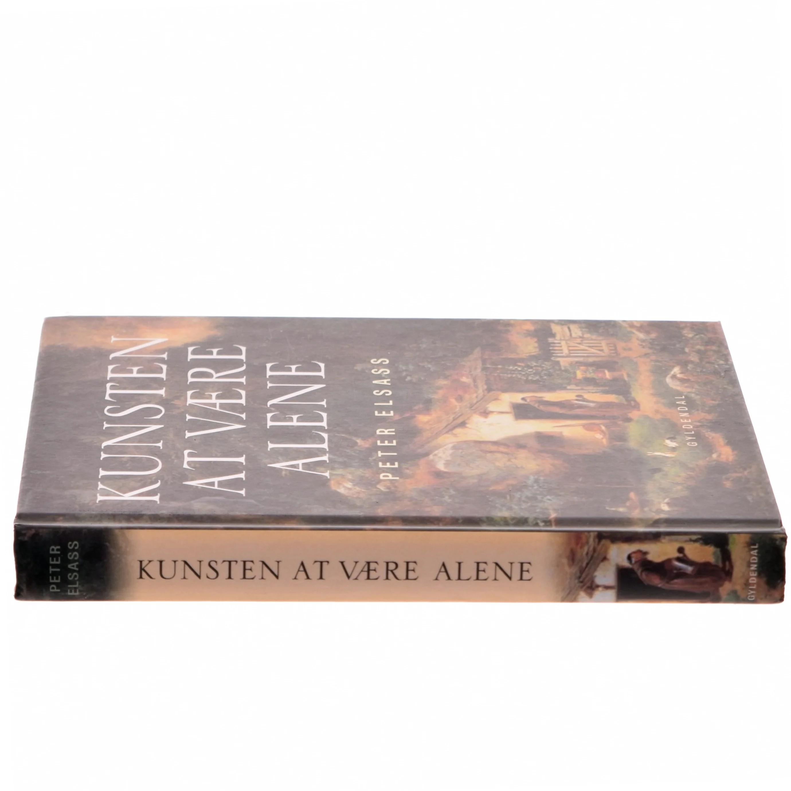 Kunsten at være alene af Peter Elsass (Bog)