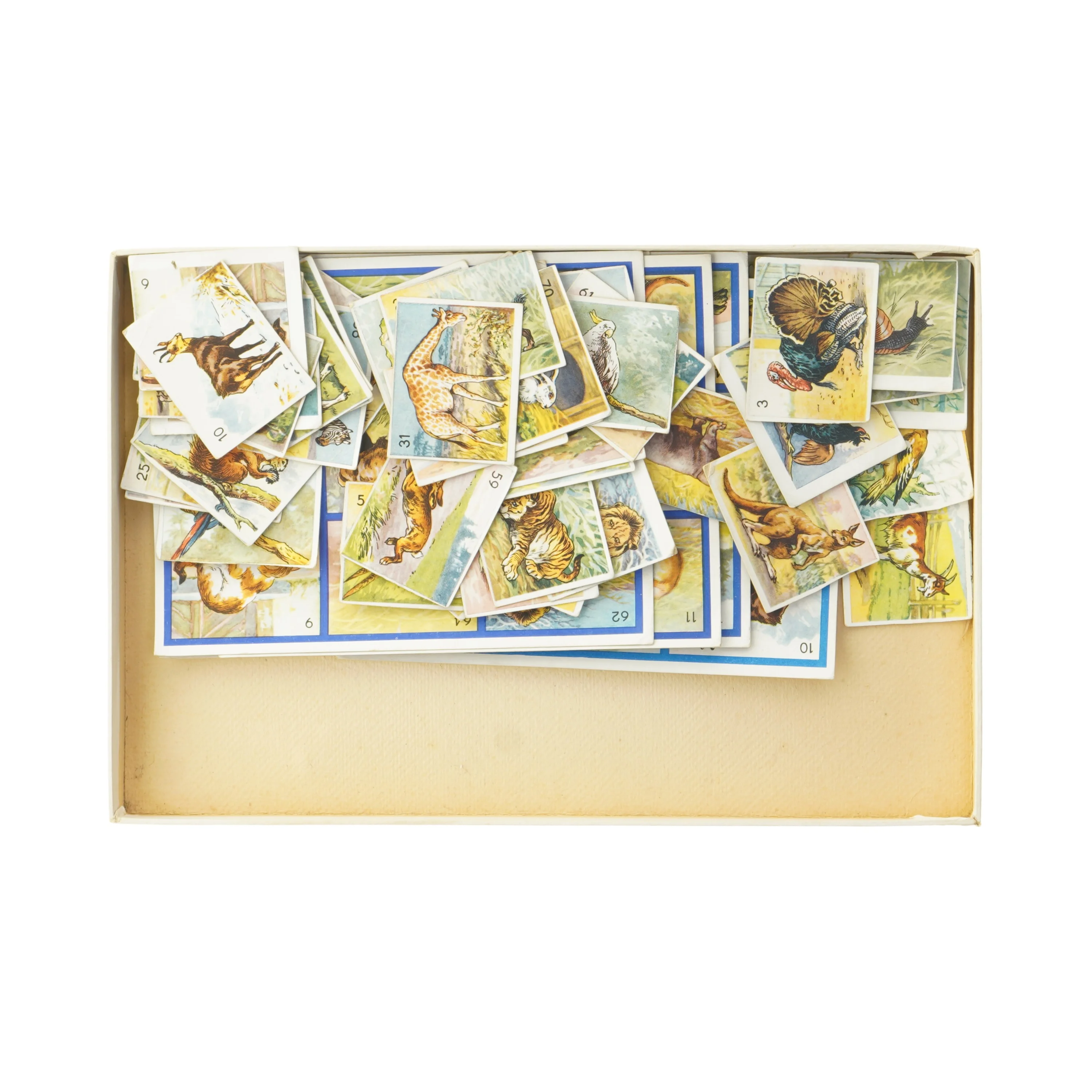 Antikt Dyre-Lotto spil (str. 3x32x22 cm)