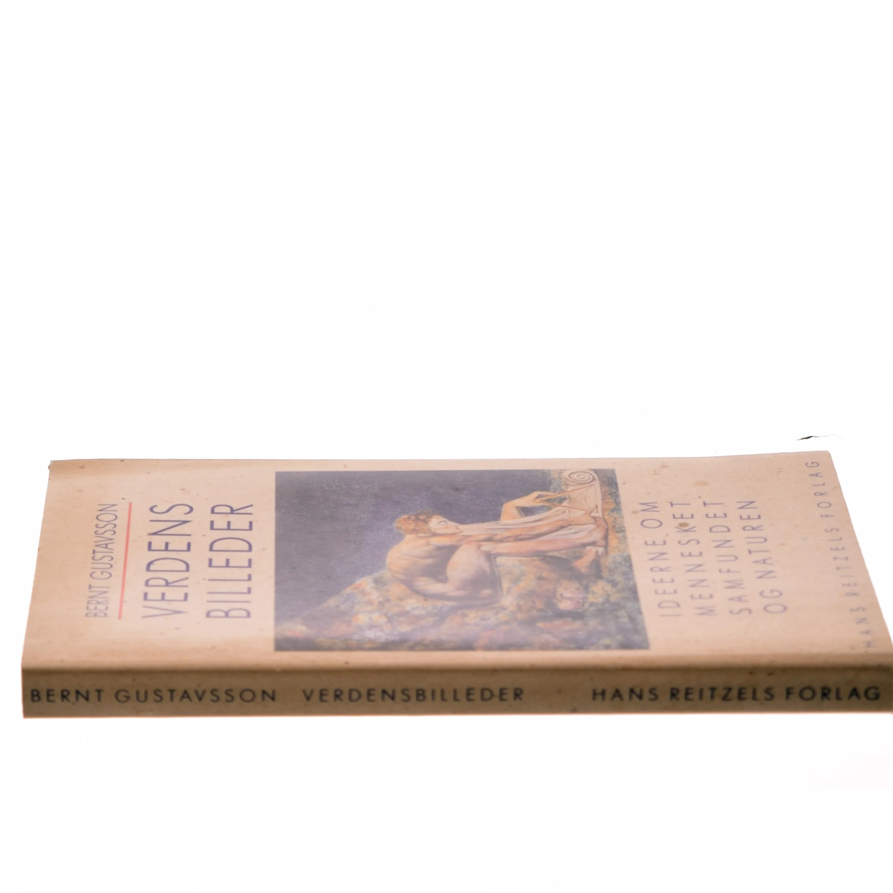 Verdensbilleder af Bernt Gustavsson (Bog)