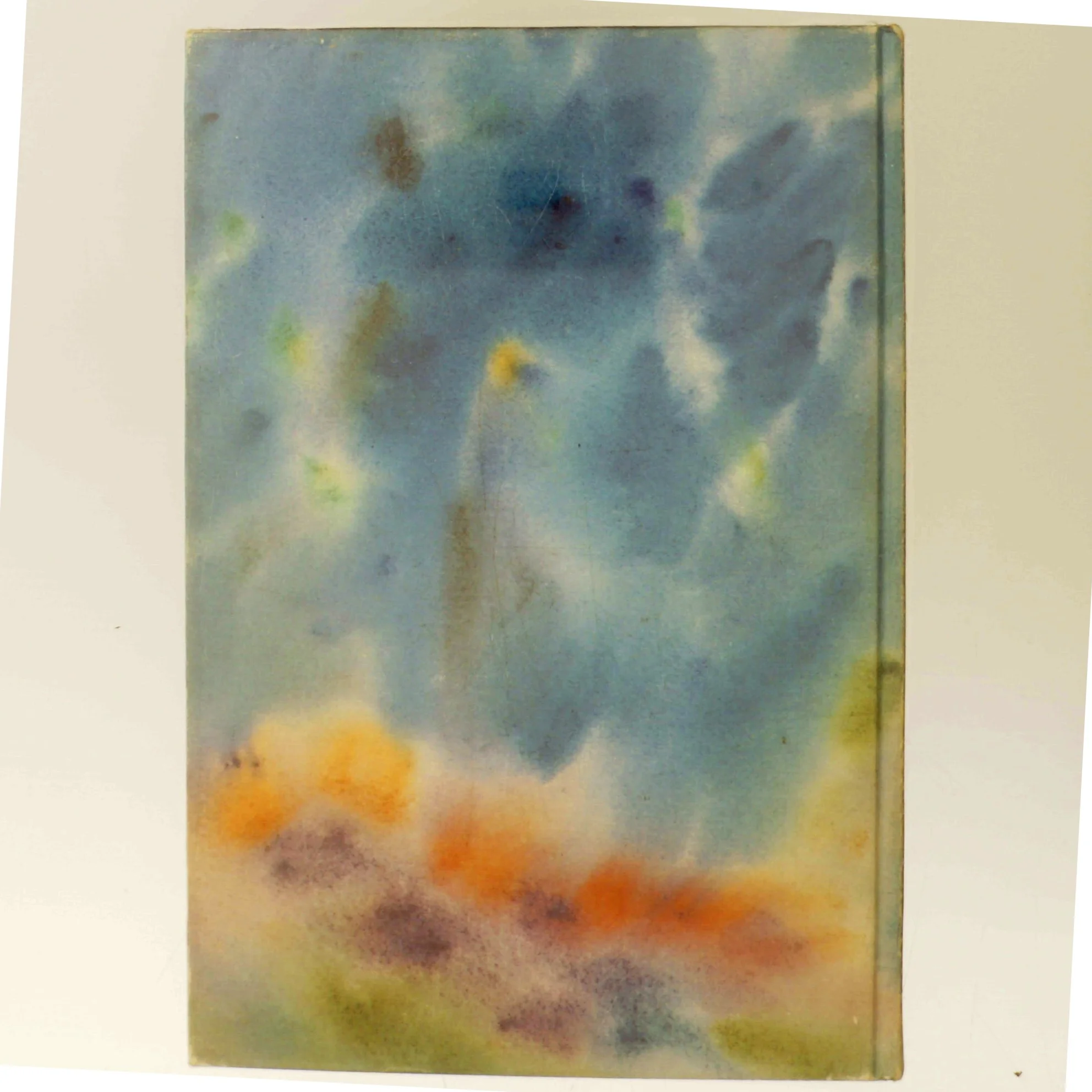 Børnepsykiatri af Lene Lier (Bog)