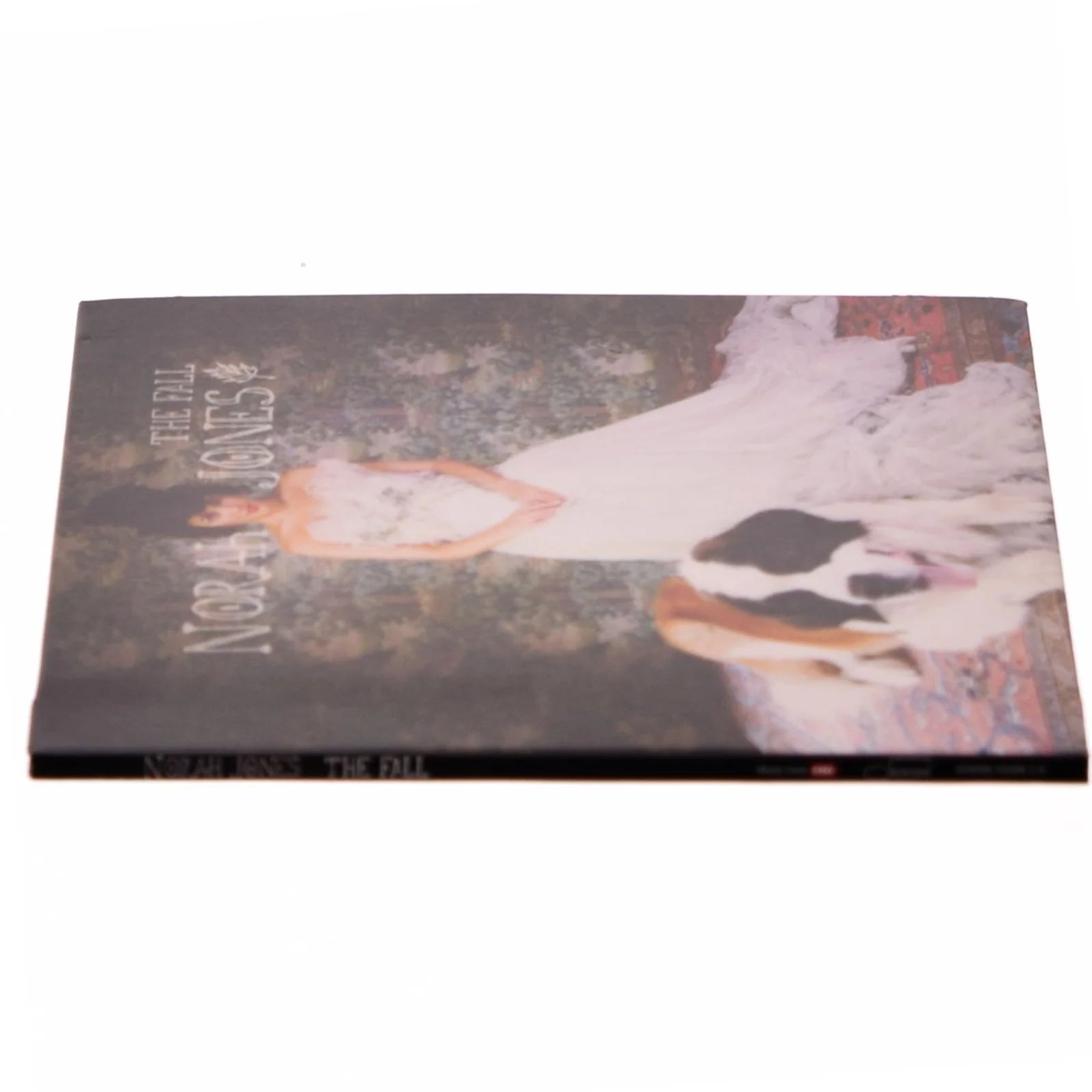 Norah Jones - The fall (CD)