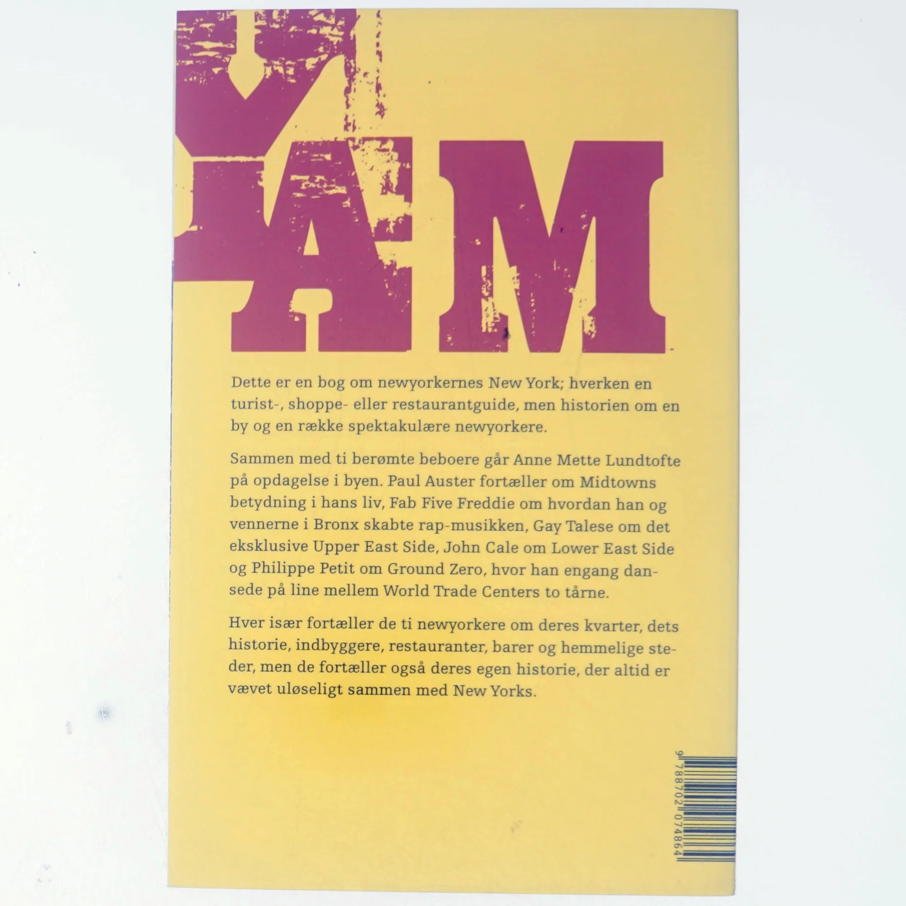 New York, New York : ti vandringer i newyorkernes fodspor af Anne Mette Lundtofte (Bog)