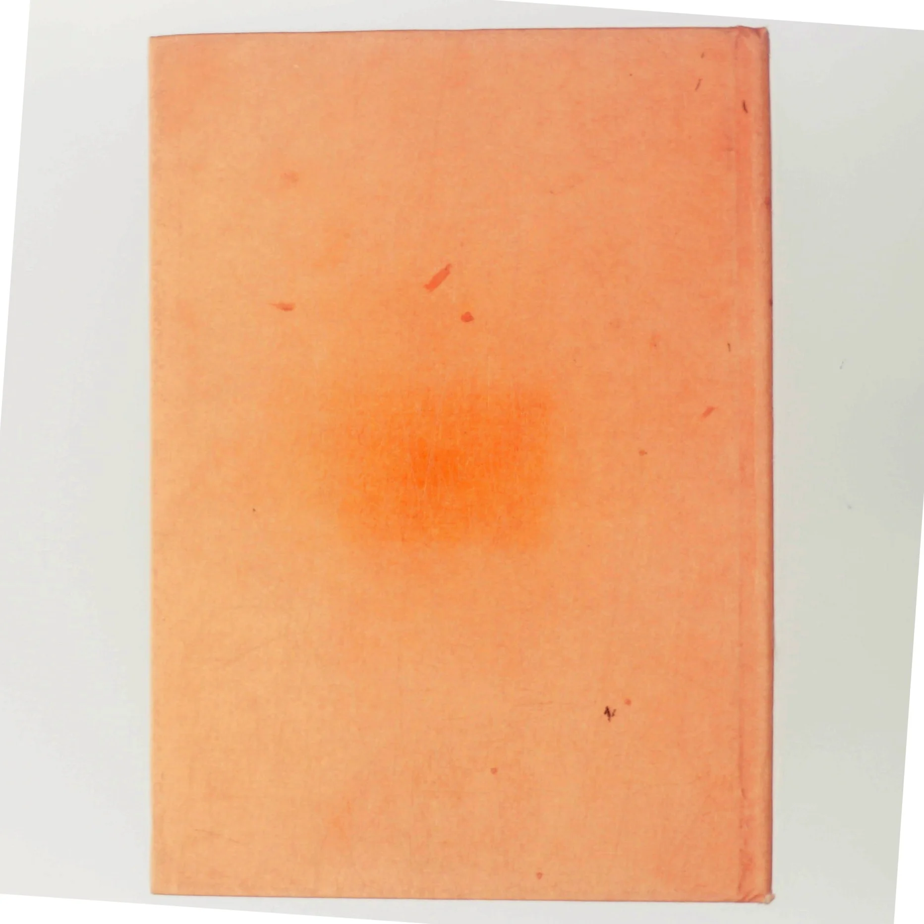 Fransk kogekunst kogebog (Bog)