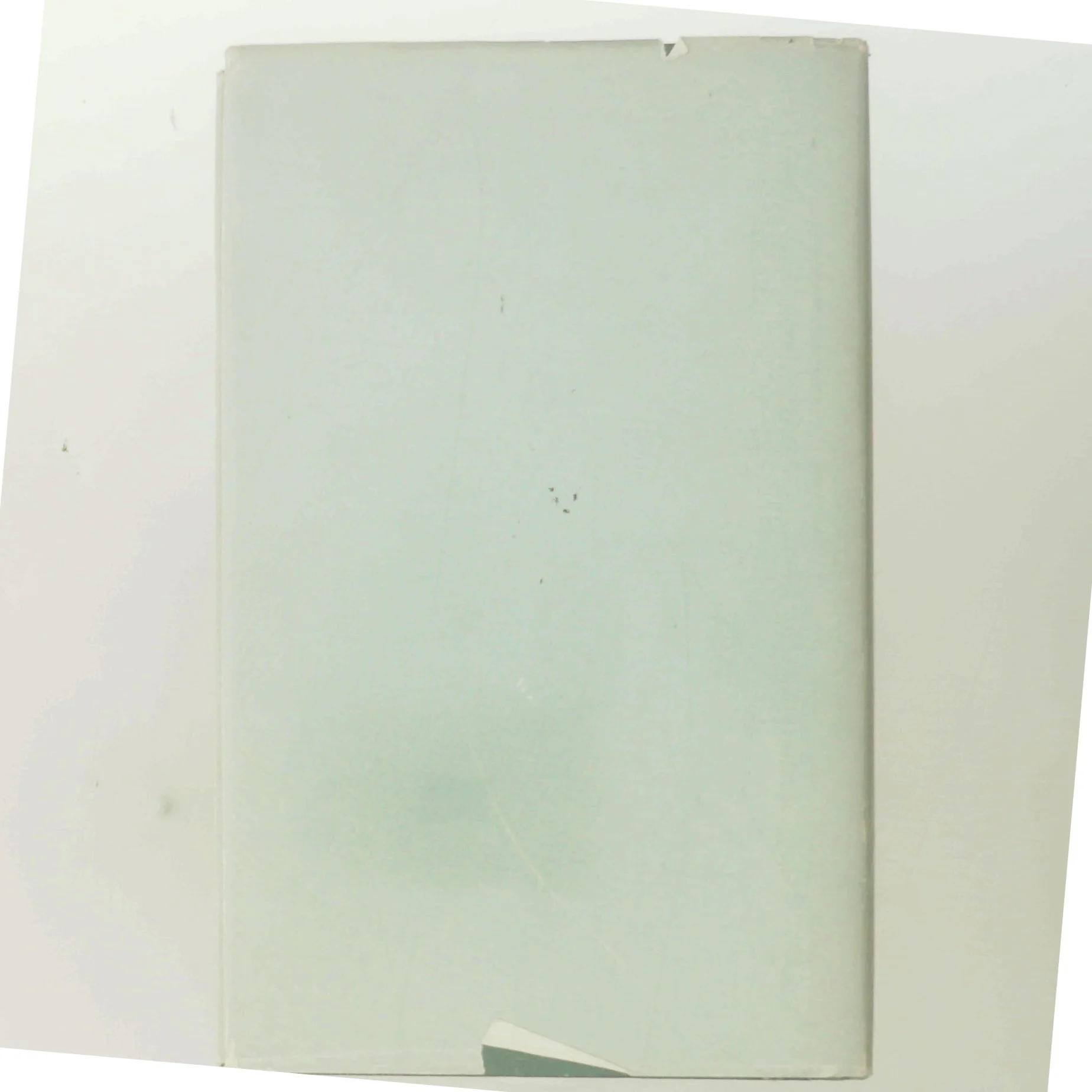 Lille menneske af Charlotte Strandgaard (Bog)