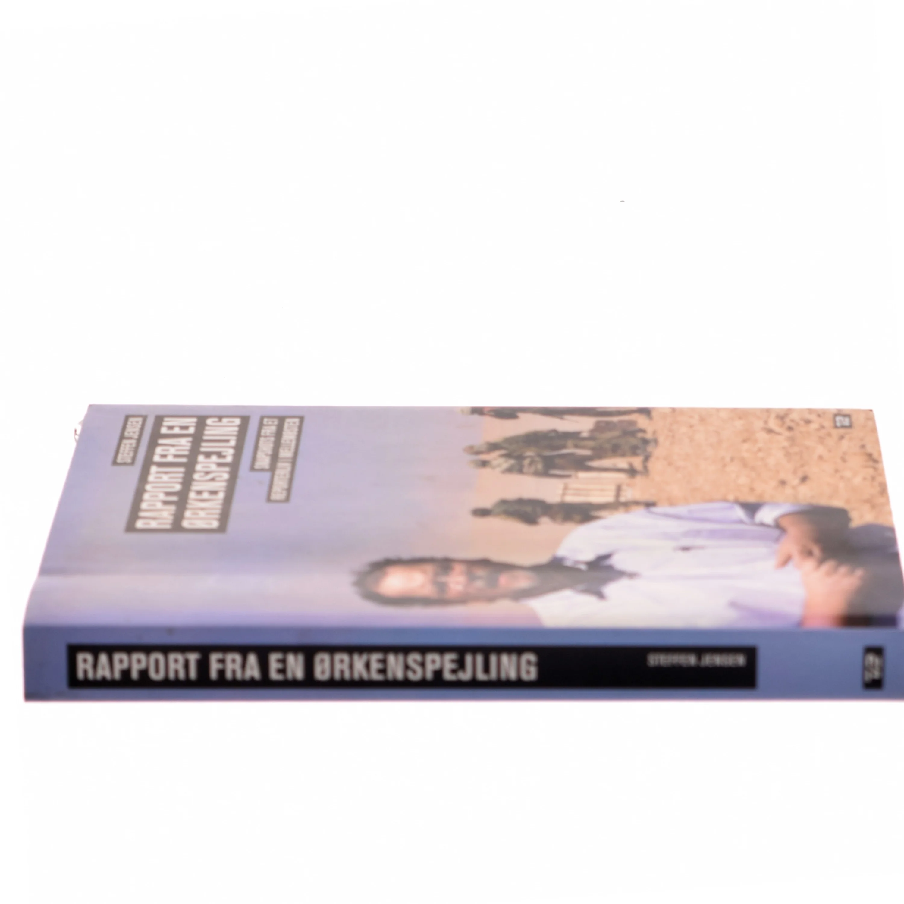 Rapport fra en ørkenspejling : snapshots fra et reporterliv af Steffen Jensen (f. 1956-02-28) (Bog)