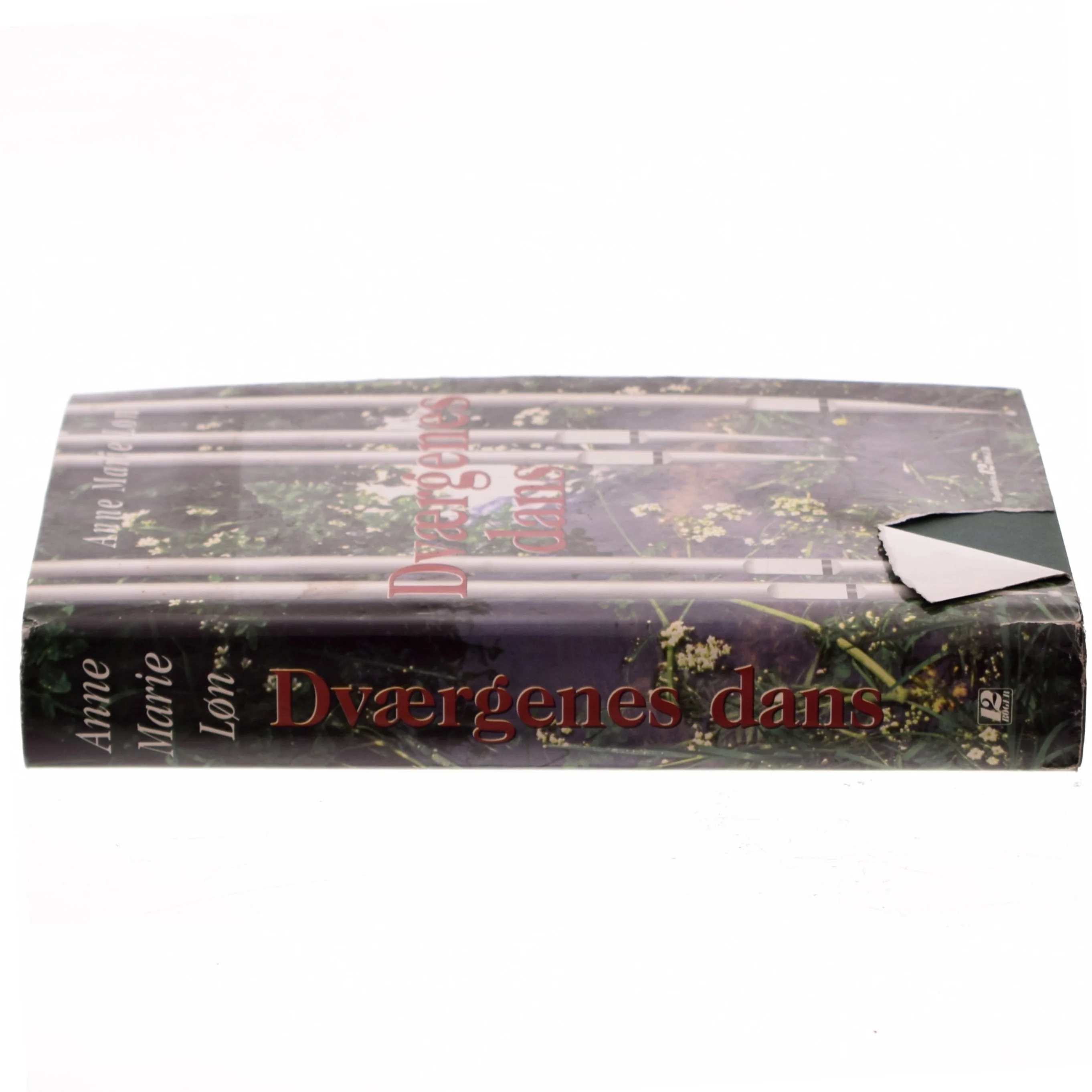 Dværgenes dans af Anne Marie Løn (Bog)