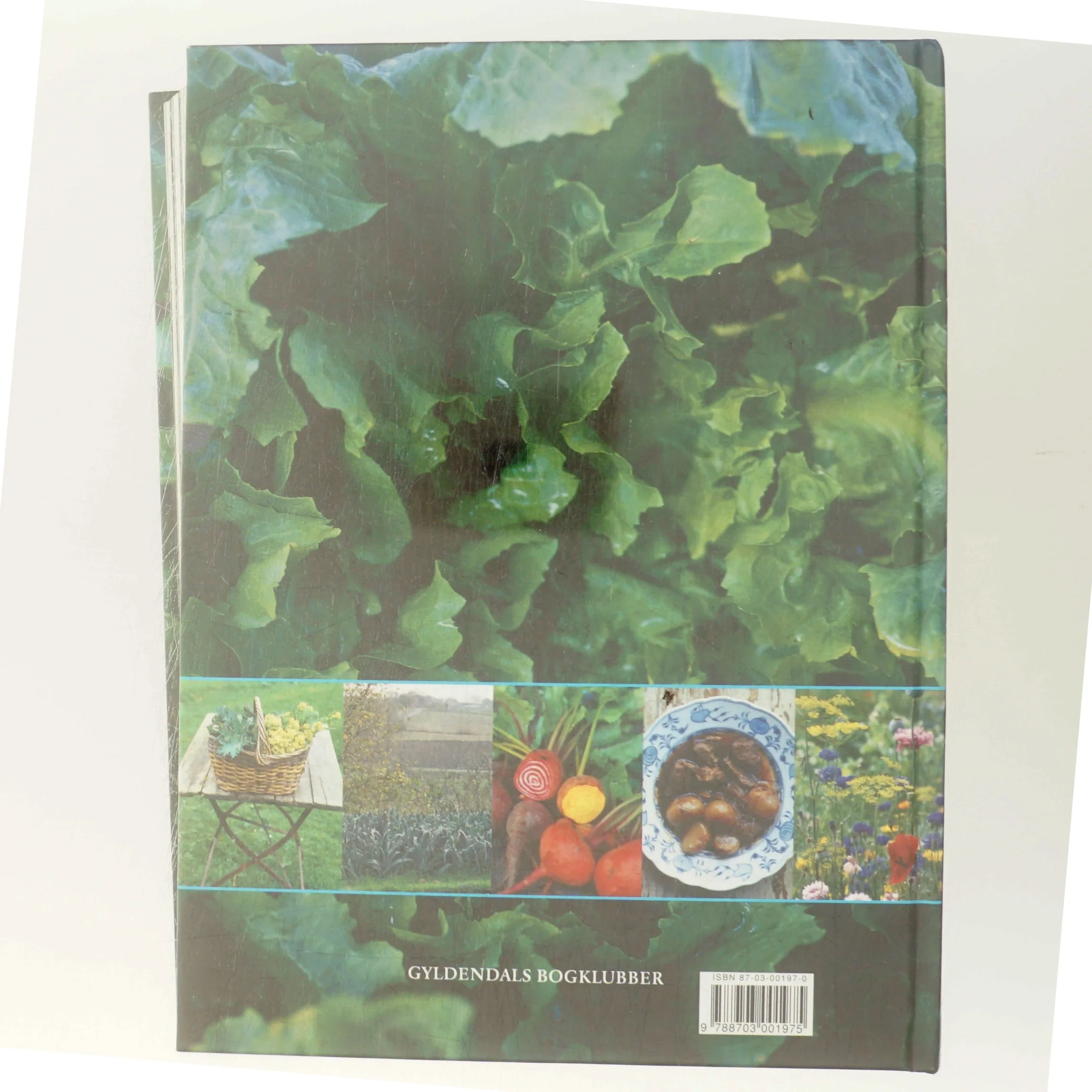 Grønt. Bind 1 af Camilla Plum (Bog)