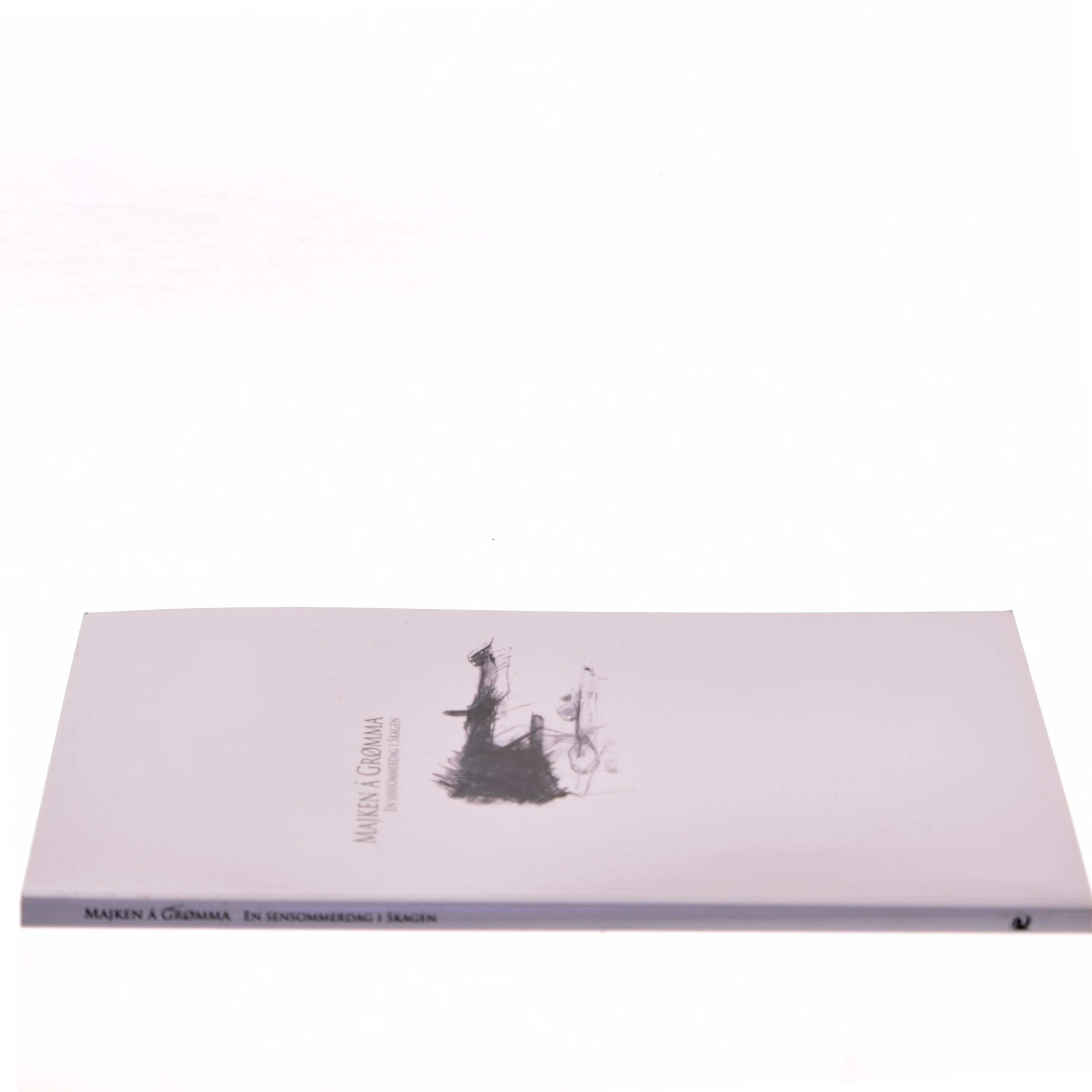 En sensommerdag i Skagen af Majken Å Grømma (Bog)