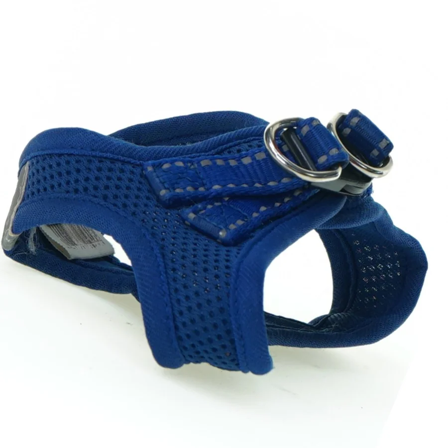 Hundesele fra Anione (str. 13 x 10 cm)