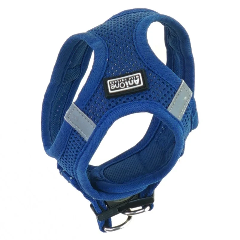 Hundesele fra Anione (str. 13 x 10 cm)