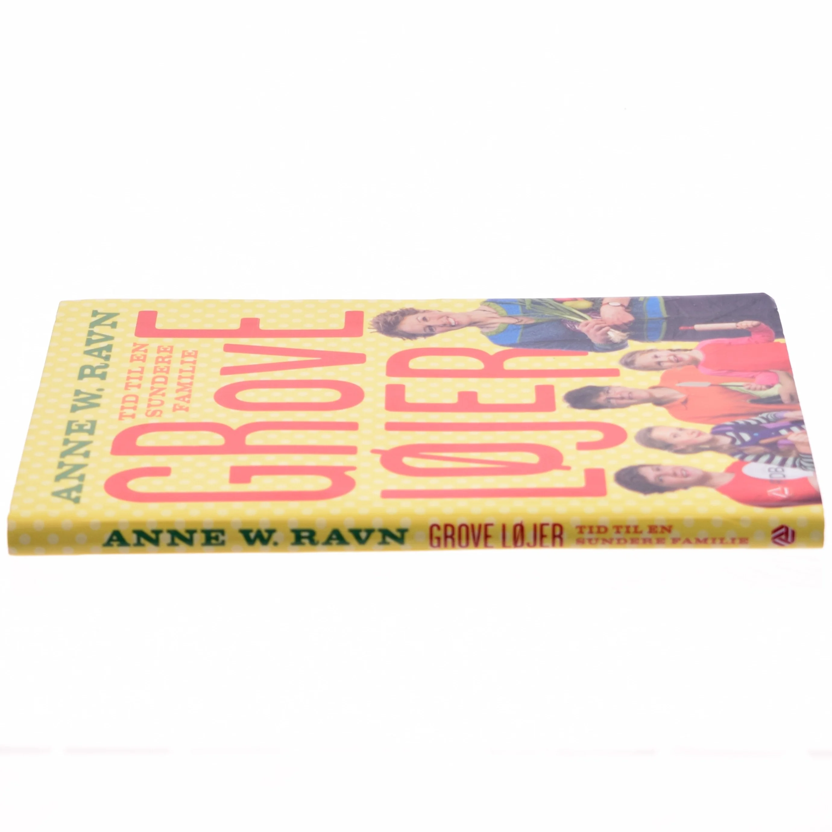 Grove løjer : tid til en sundere familie af Anne W. Ravn (Bog)