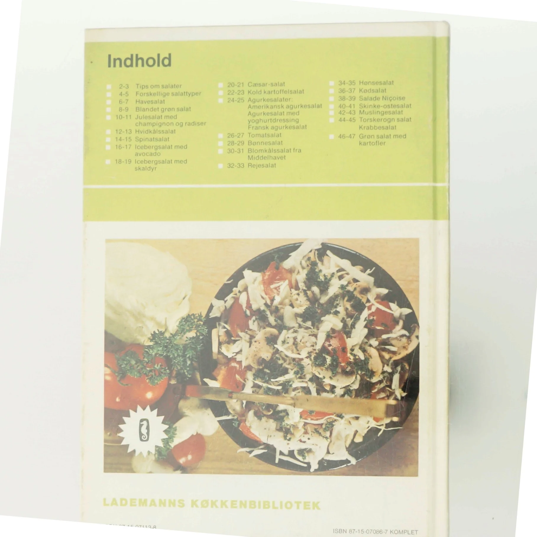 Bogen om salater af Lotte Haveman (Bog)