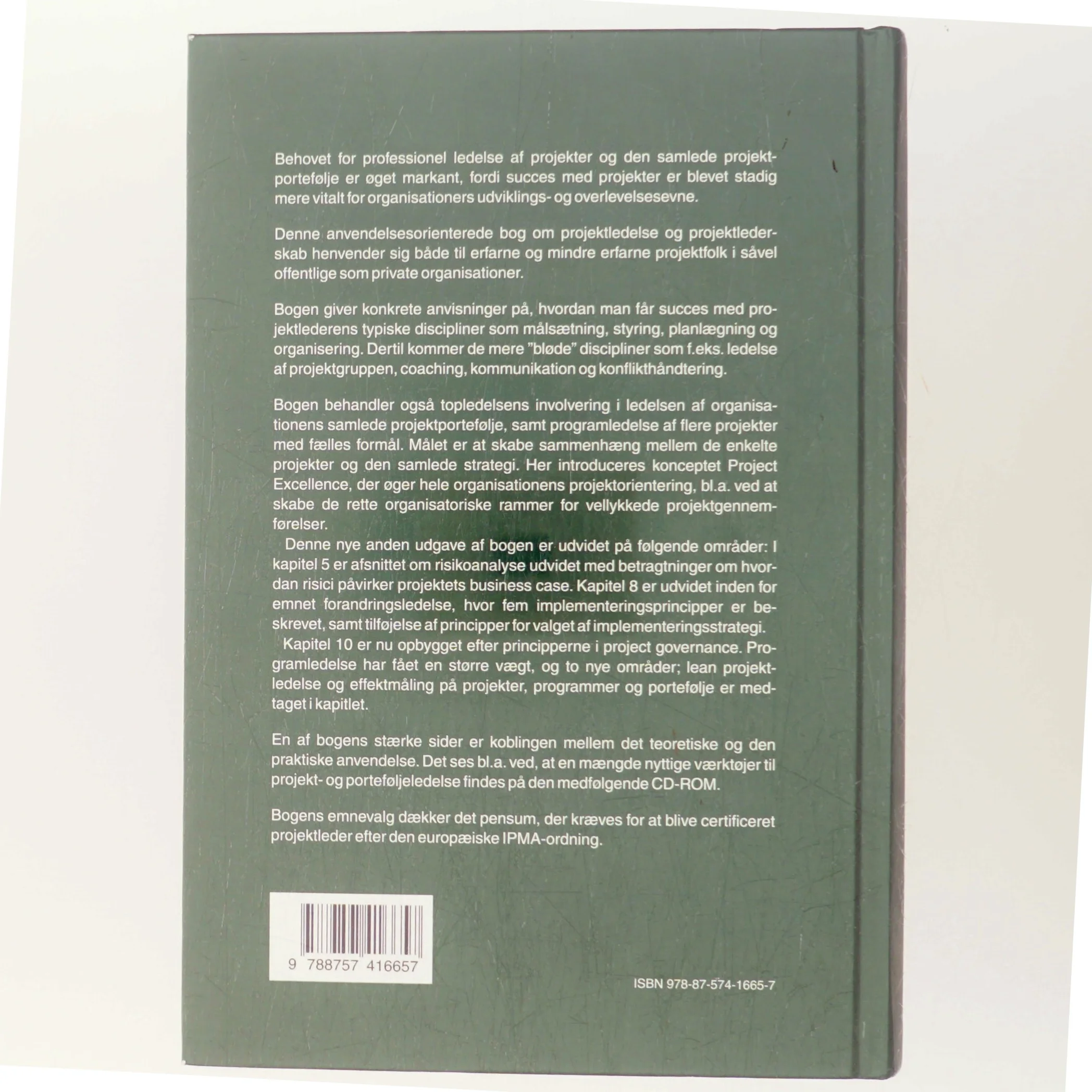 Power i projekter og portefølje (Bog)