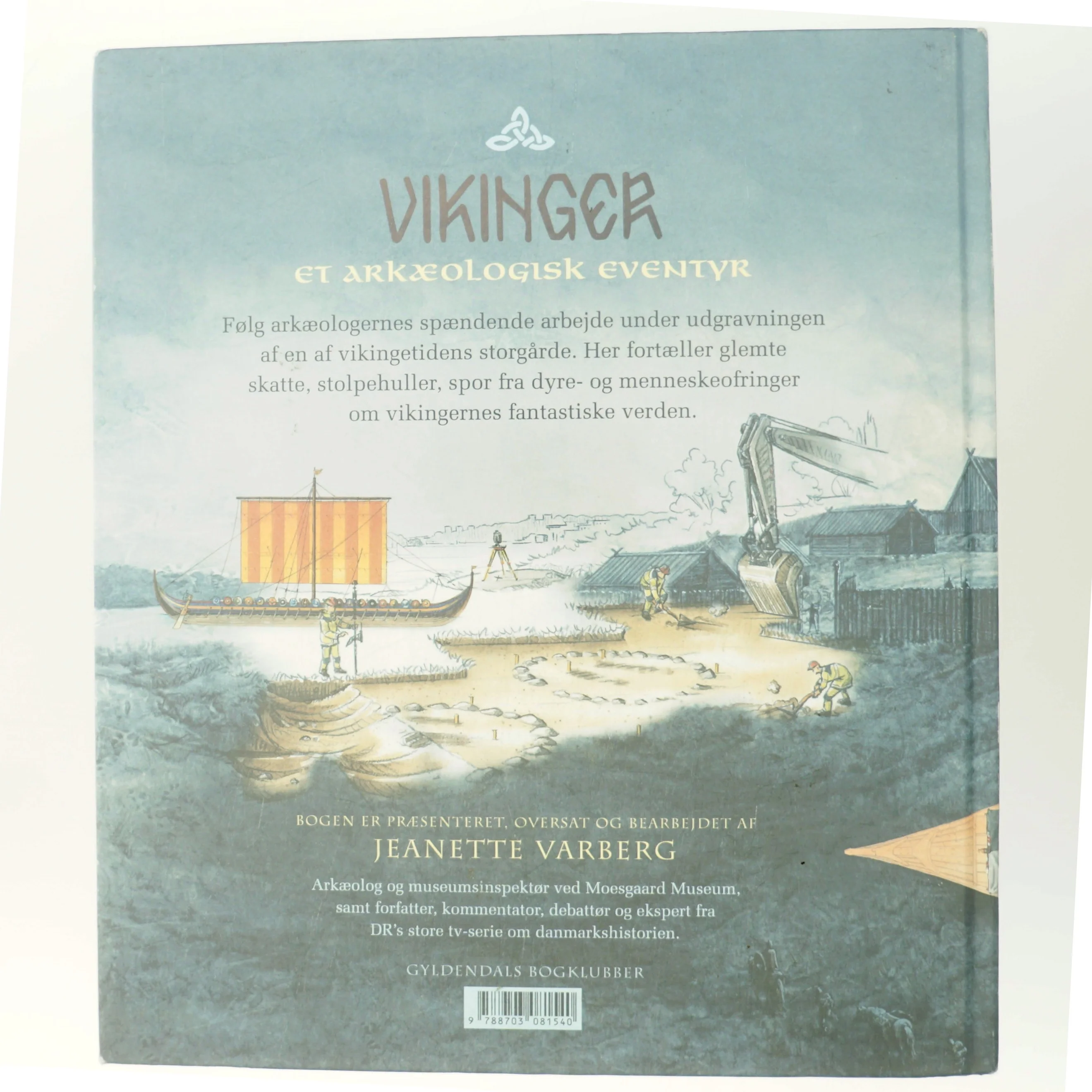 Vikinger : et arkæologisk eventyr af Mats Vänehem (Bog)