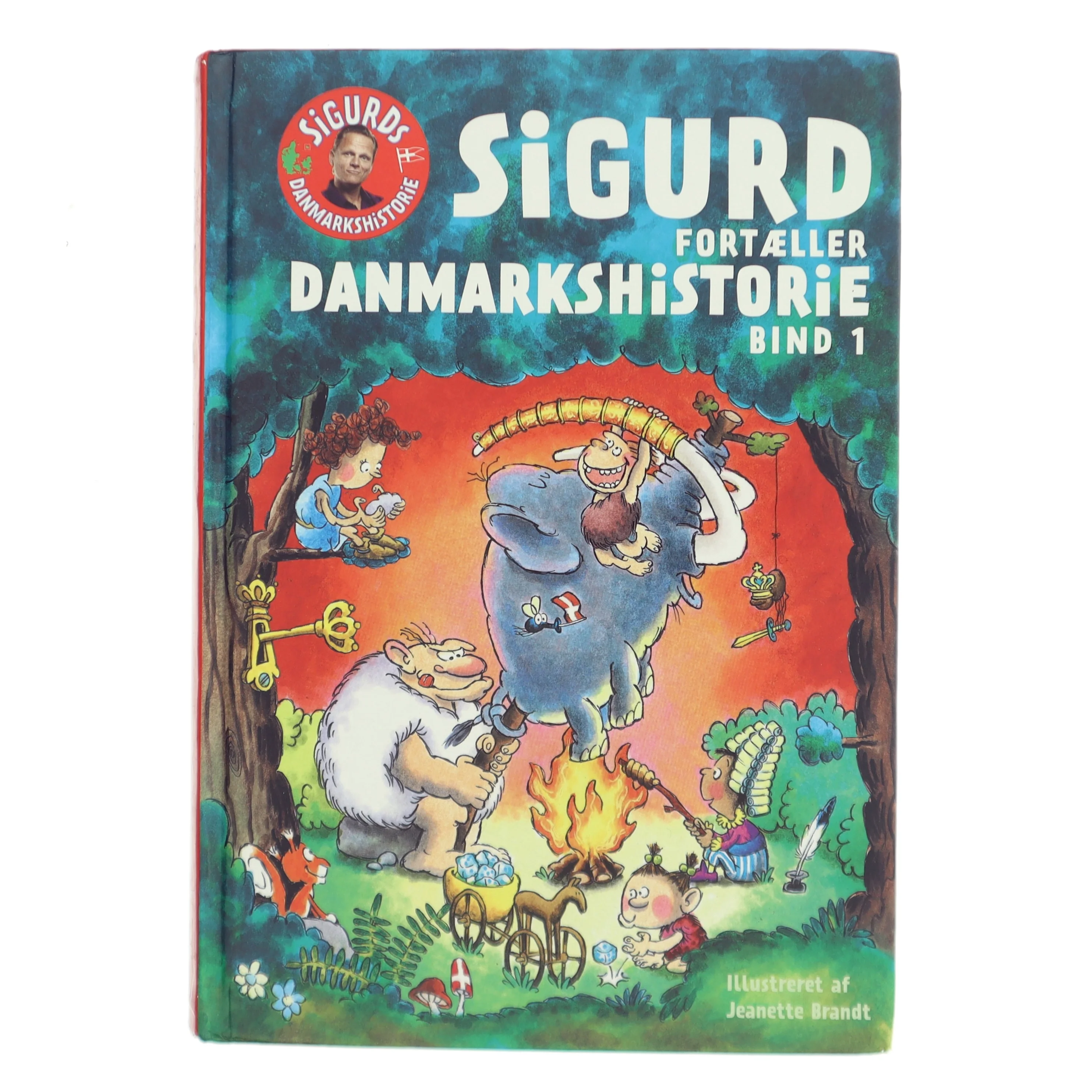 Sigurd fortæller danmarkshistorie af Sigurd Barrett (Bog)