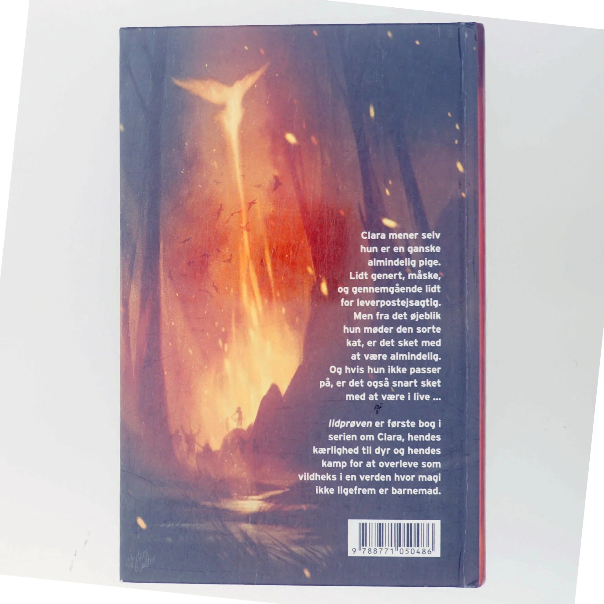 Vildheks. Bind 1, Ildprøven af Lene Kaaberbøl (Bog)