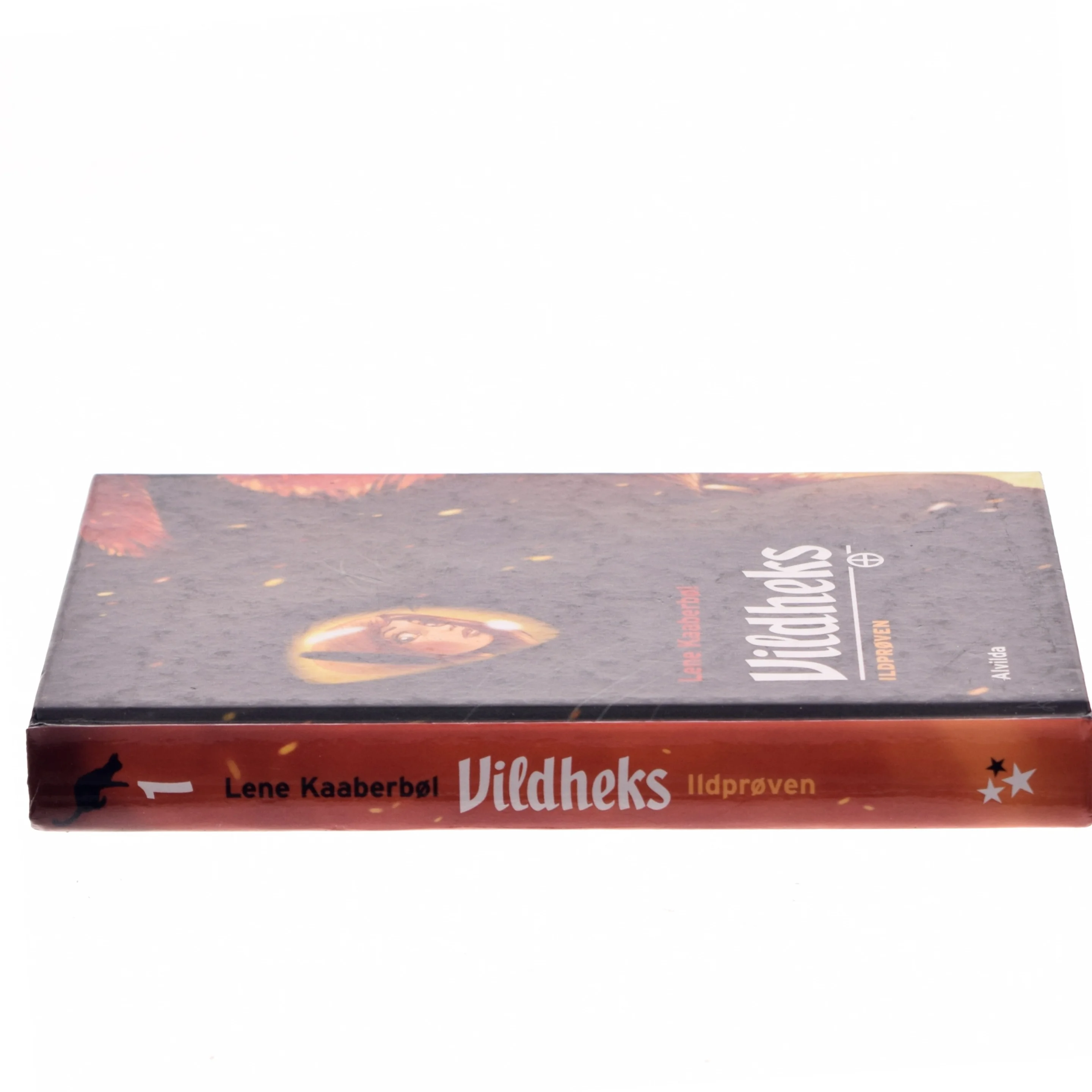 Vildheks. Bind 1, Ildprøven af Lene Kaaberbøl (Bog)