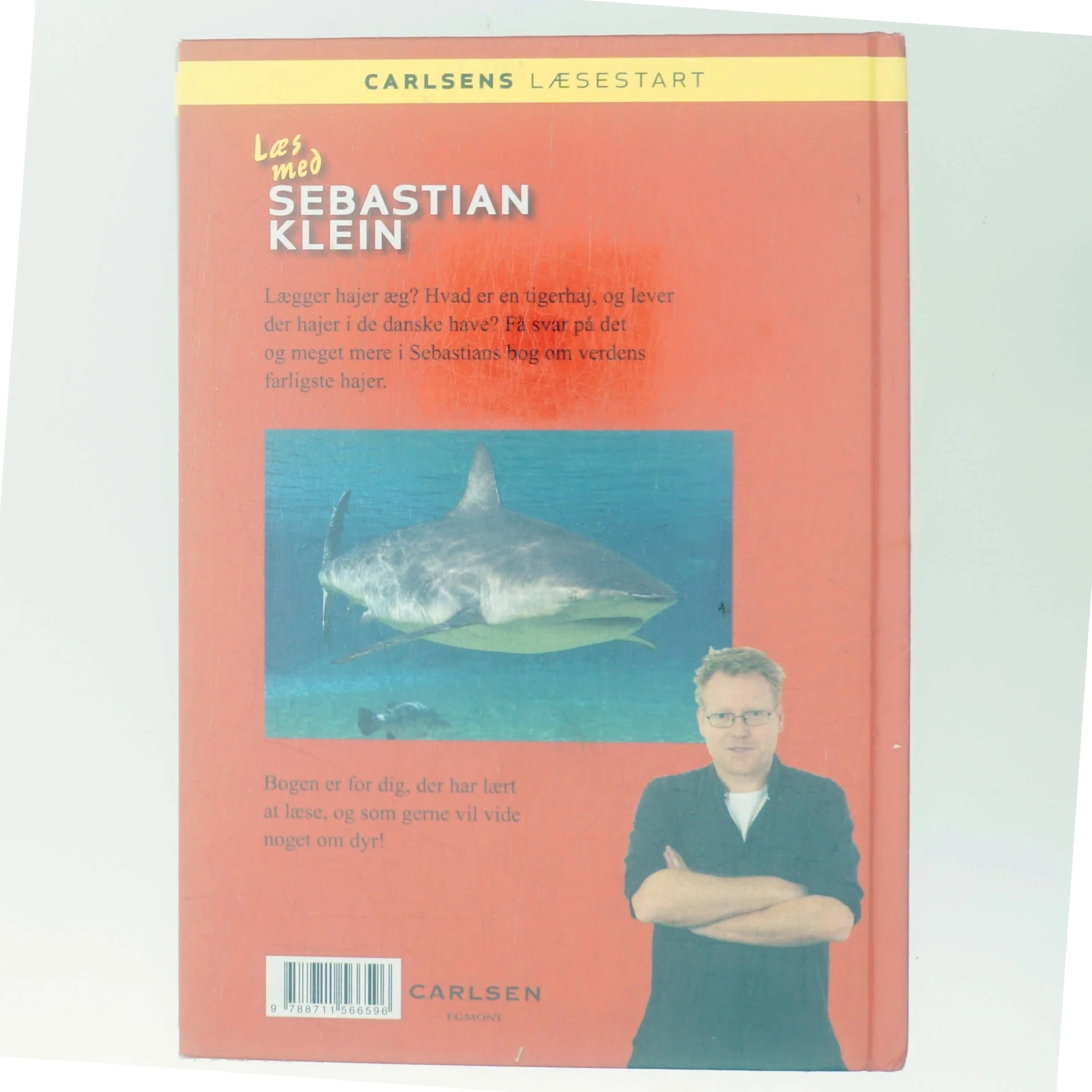 Verdens farligste hajer af Sebastian Klein (Bog)