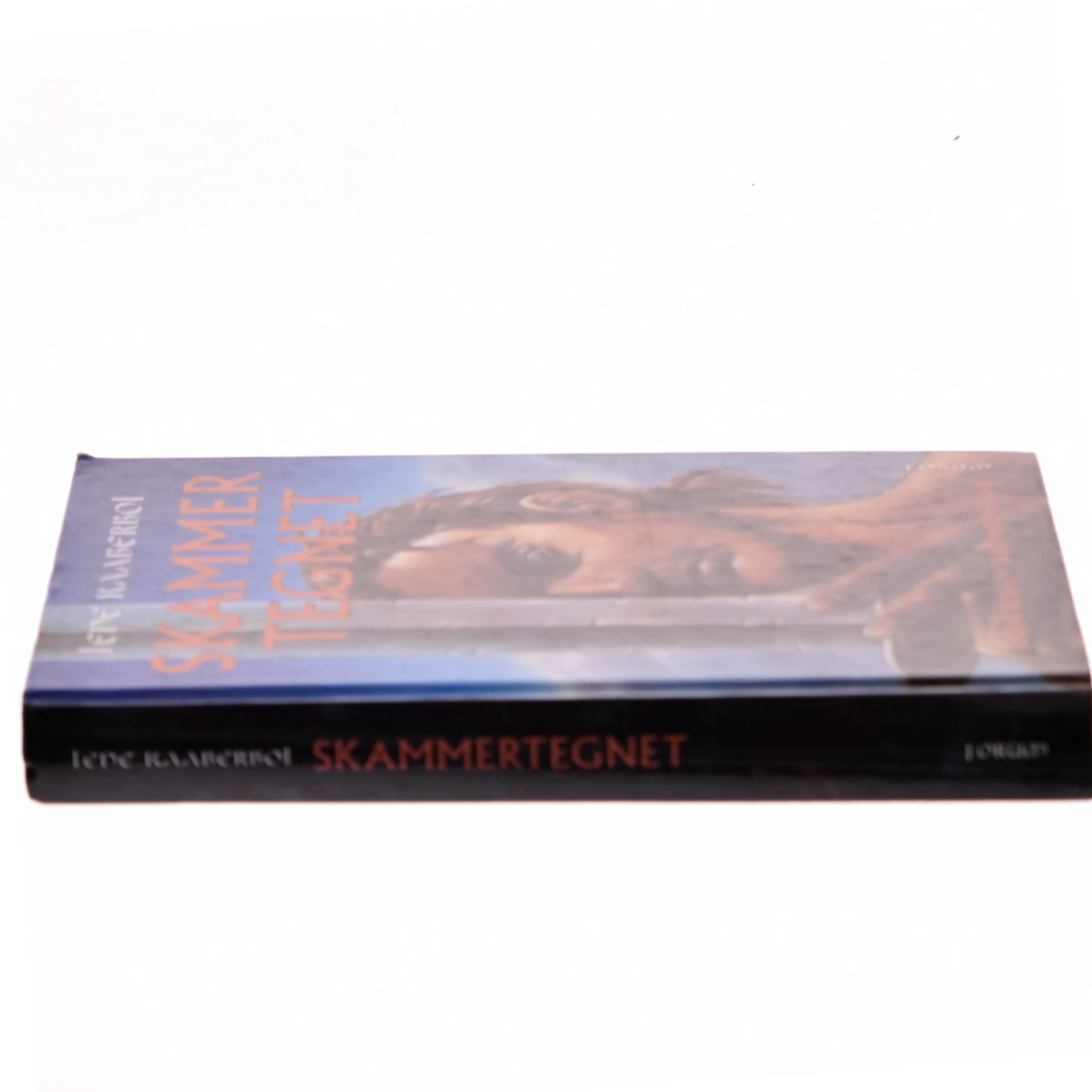 Skammertegnet af Lene Kaaberbøl (Bog)