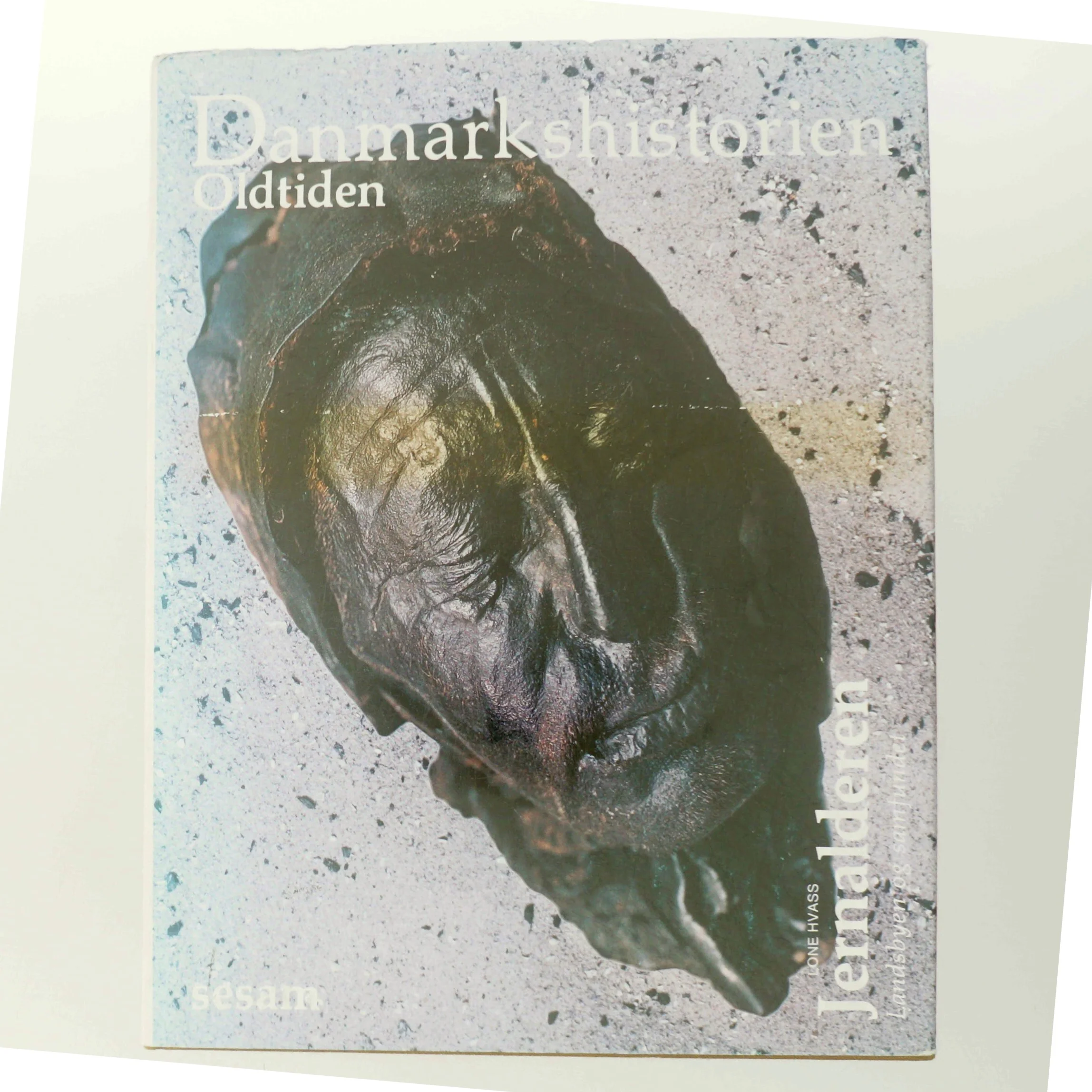Historiebog om Danmarks oldtid fra Sesam