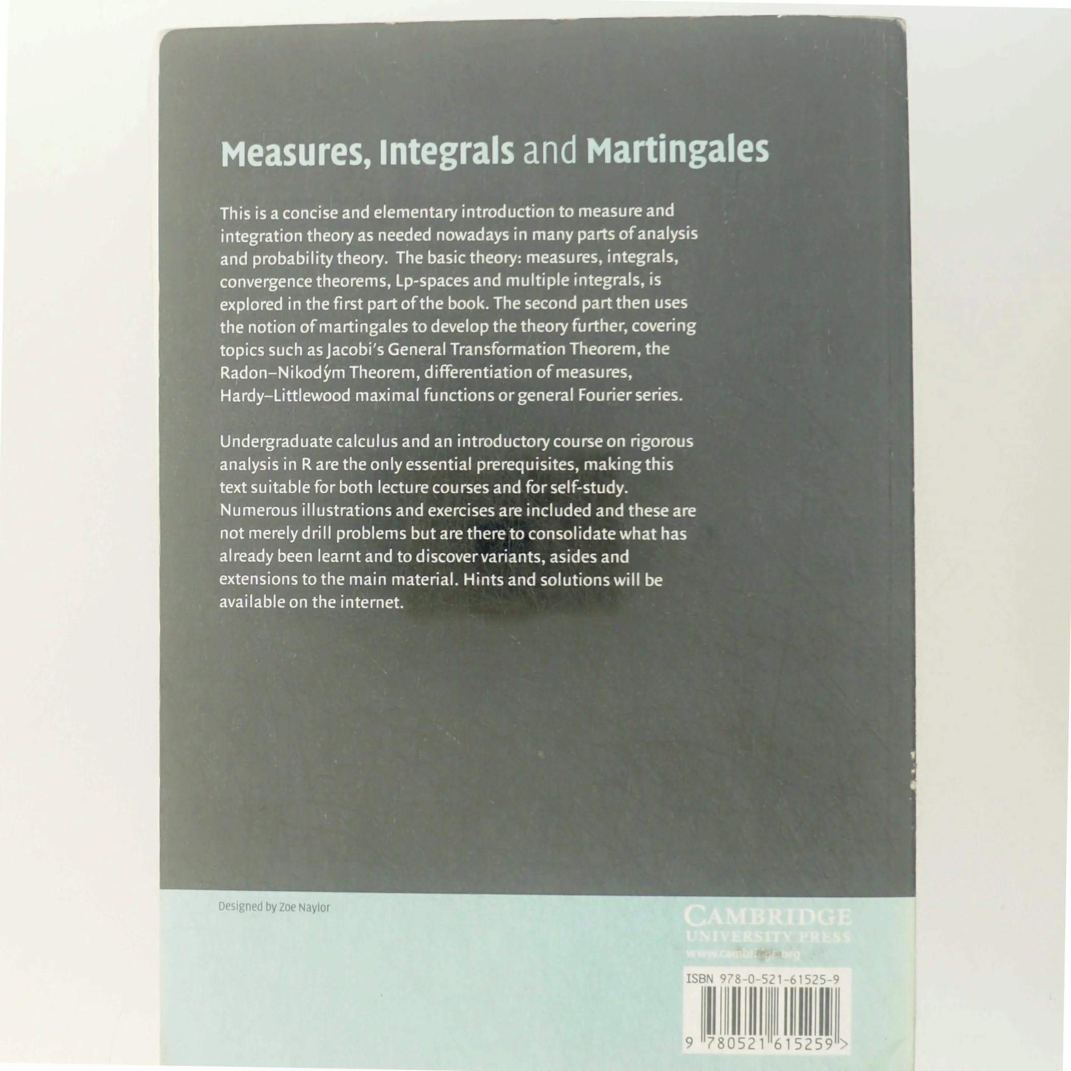 Measures, integrals and martingales (Bog)