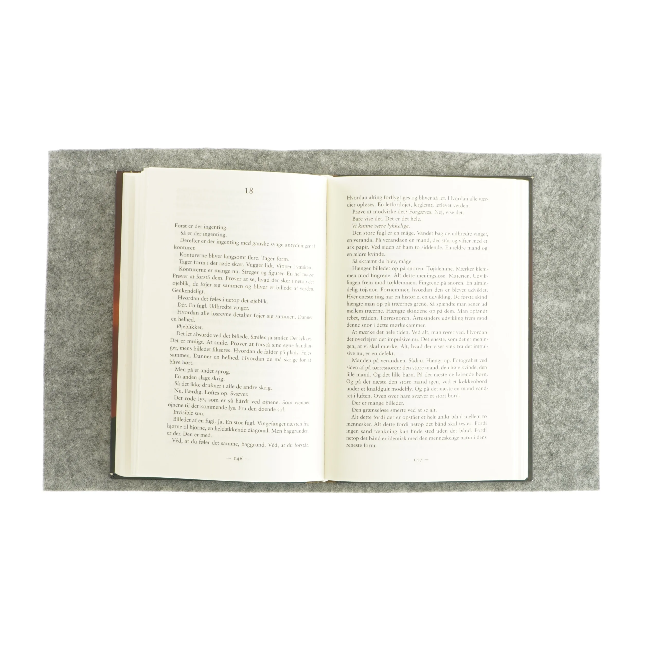 En skærsommernatsdrøm af Arne Dahl (bog)