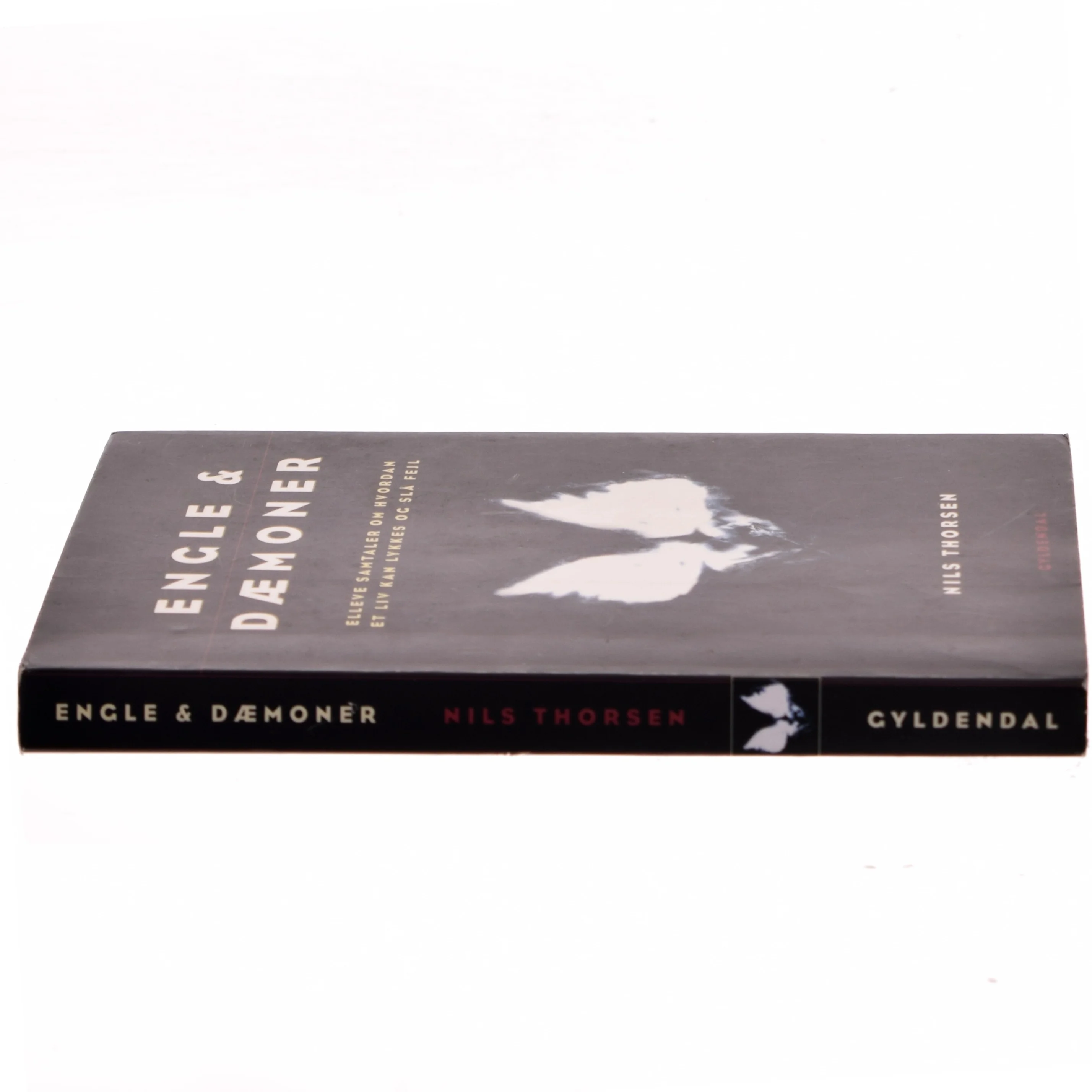 Engle & dæmoner : elleve samtaler om hvordan et liv kan lykkes og slå fejl af Nils Thorsen (Bog)