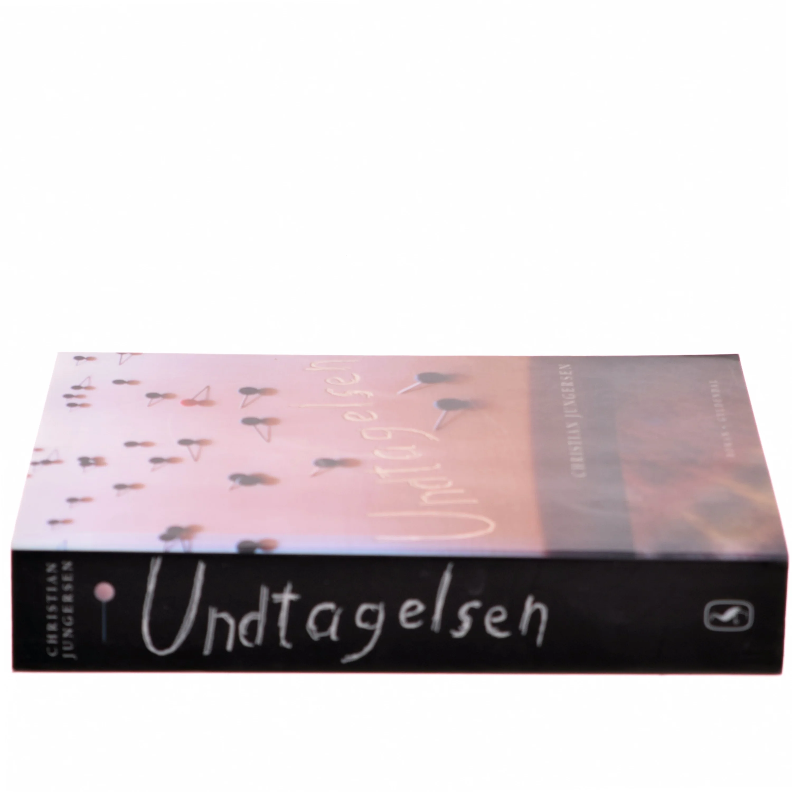 Undtagelsen af Christian Jungersen (Bog)