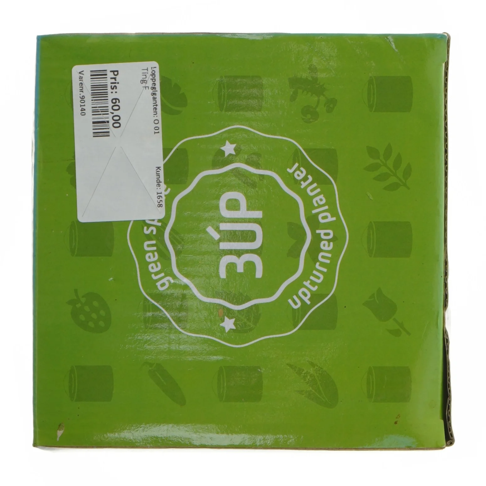 Hængende planter fra 3up (str. H. 14 cm. d. 10,5 cm. w. 900 g)