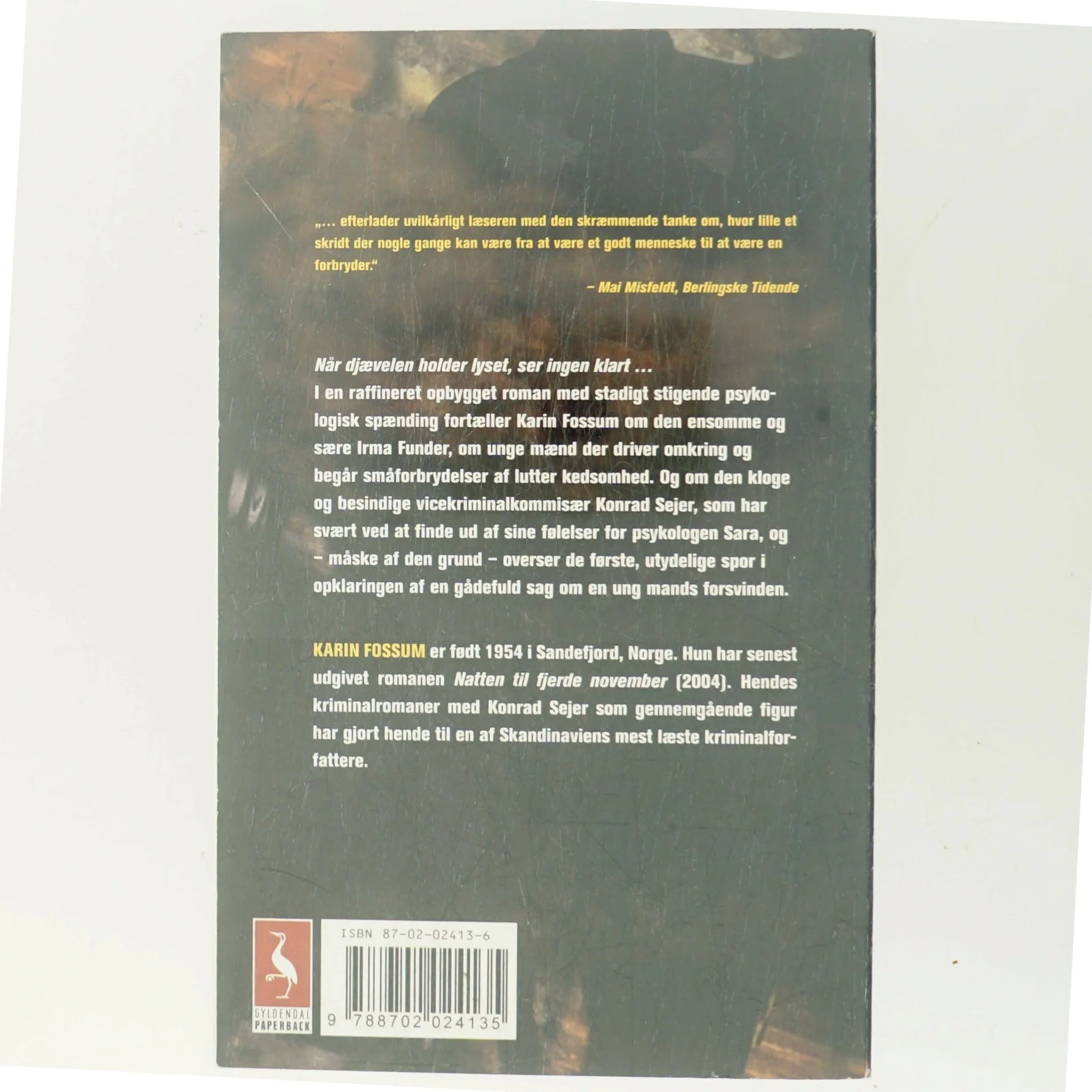 Når djævelen holder lyset af Karin Fossum (Bog)