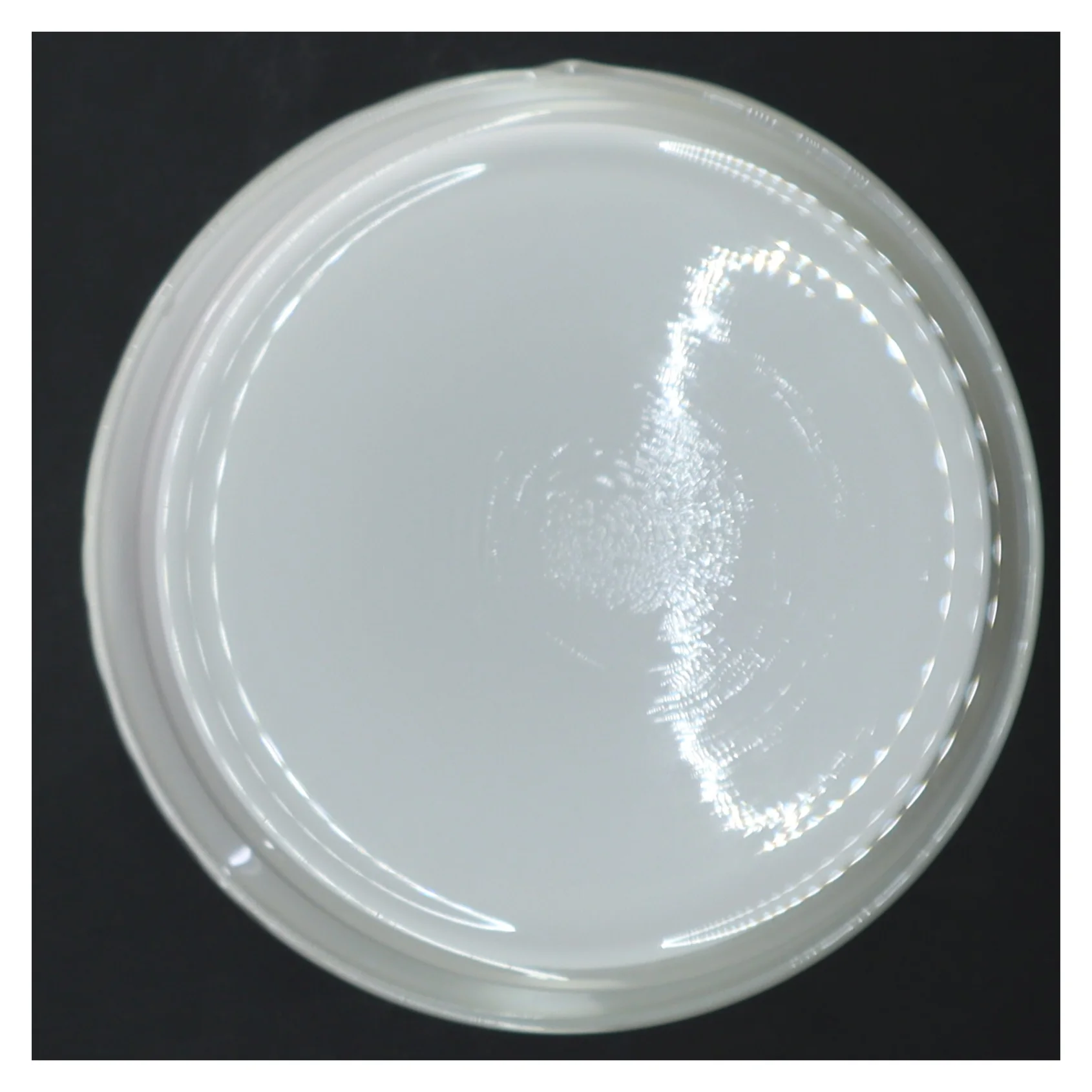 Hvid skål i glas holmegaard (str. Ø 17 cm)