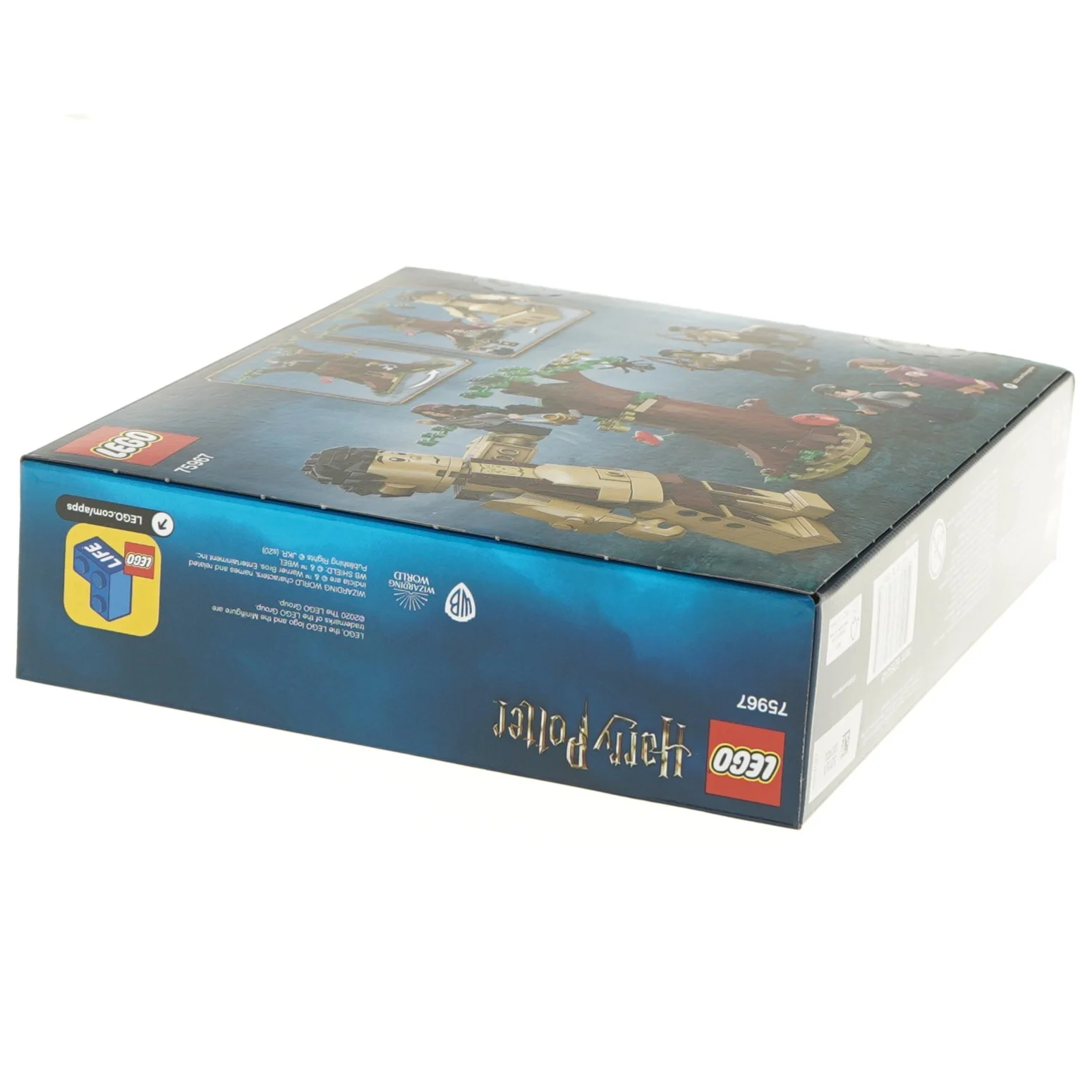 LEGO Harry Potter Forbidden Forest: Umbridge's Encounter fra Lego (str. 22x6x26 cm)