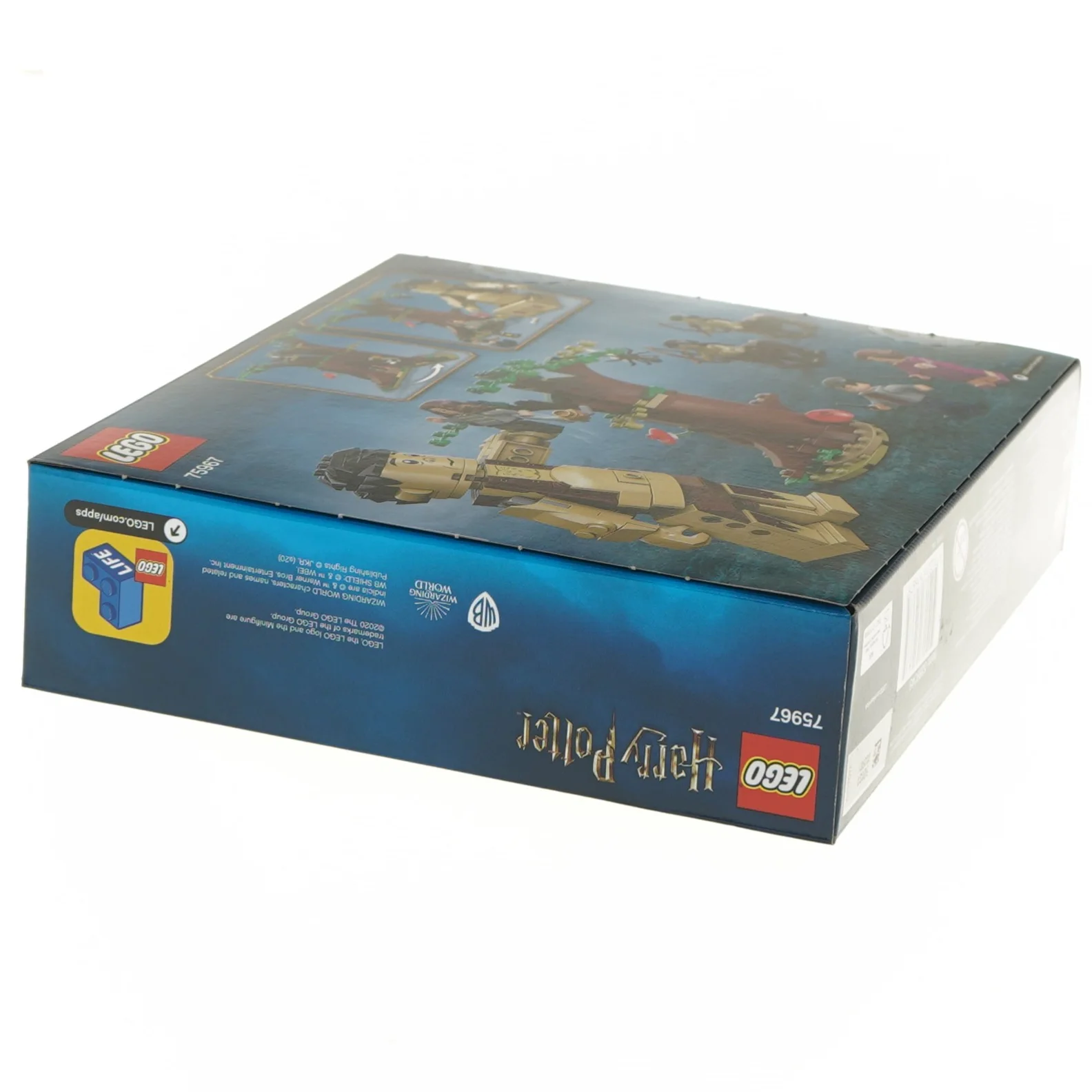 LEGO Harry Potter Forbidden Forest sæt fra Lego (str. 22x6x26 cm)