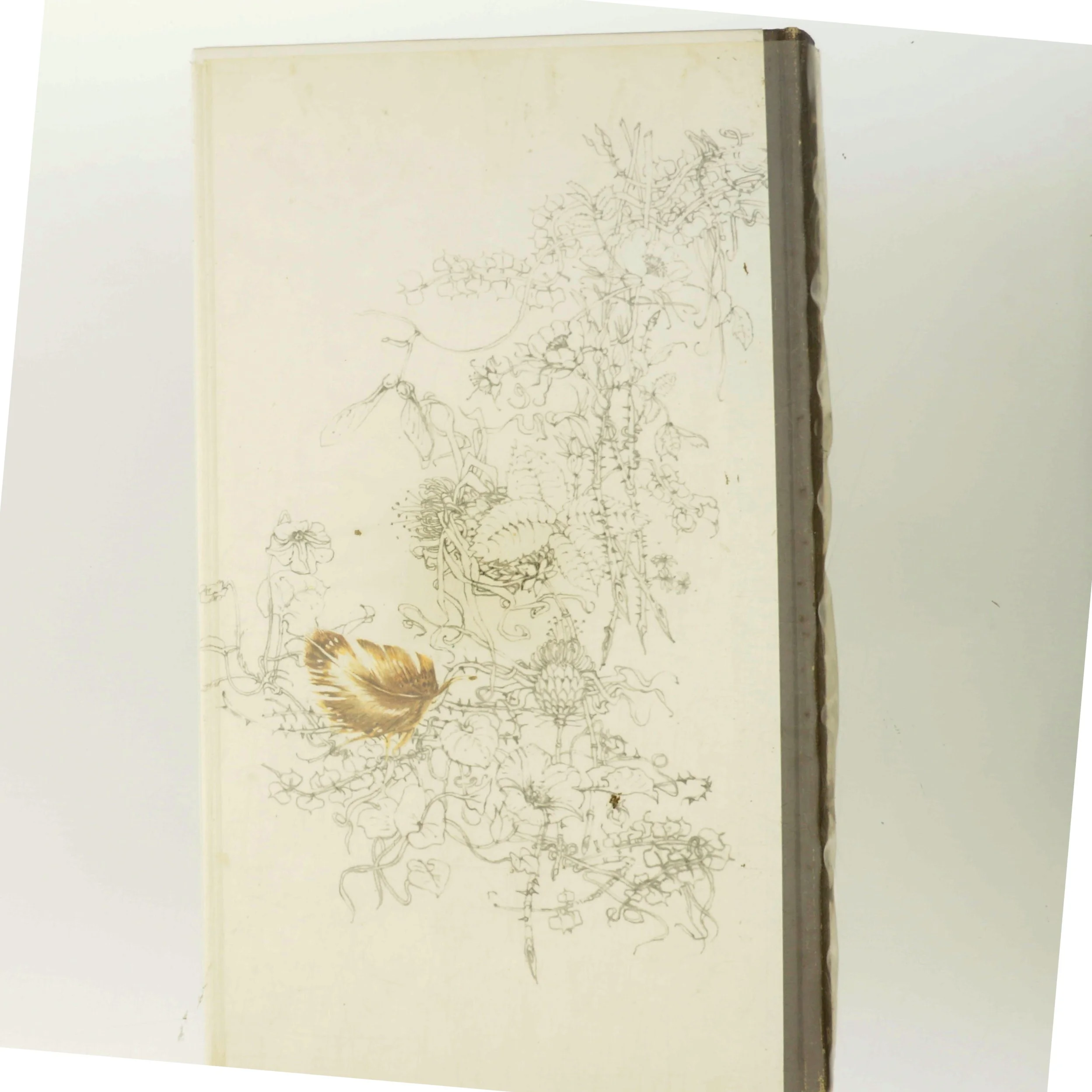 Fugleliv i Danmark af <Bogens forfattere> (Bog)