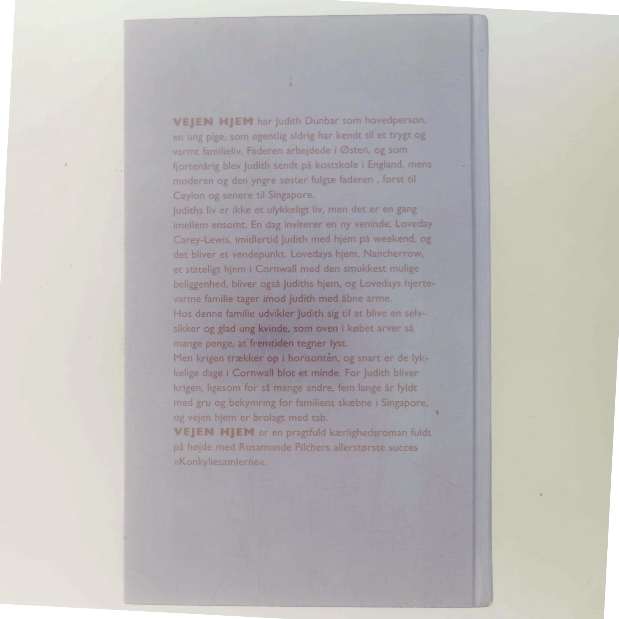 Vejen hjem af Rosamunde Pilcher (Bog)