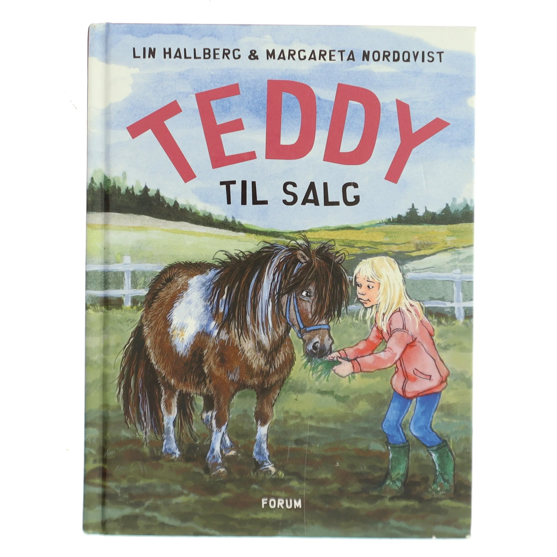 Teddy i huset af Lin Hallberg (Bog)