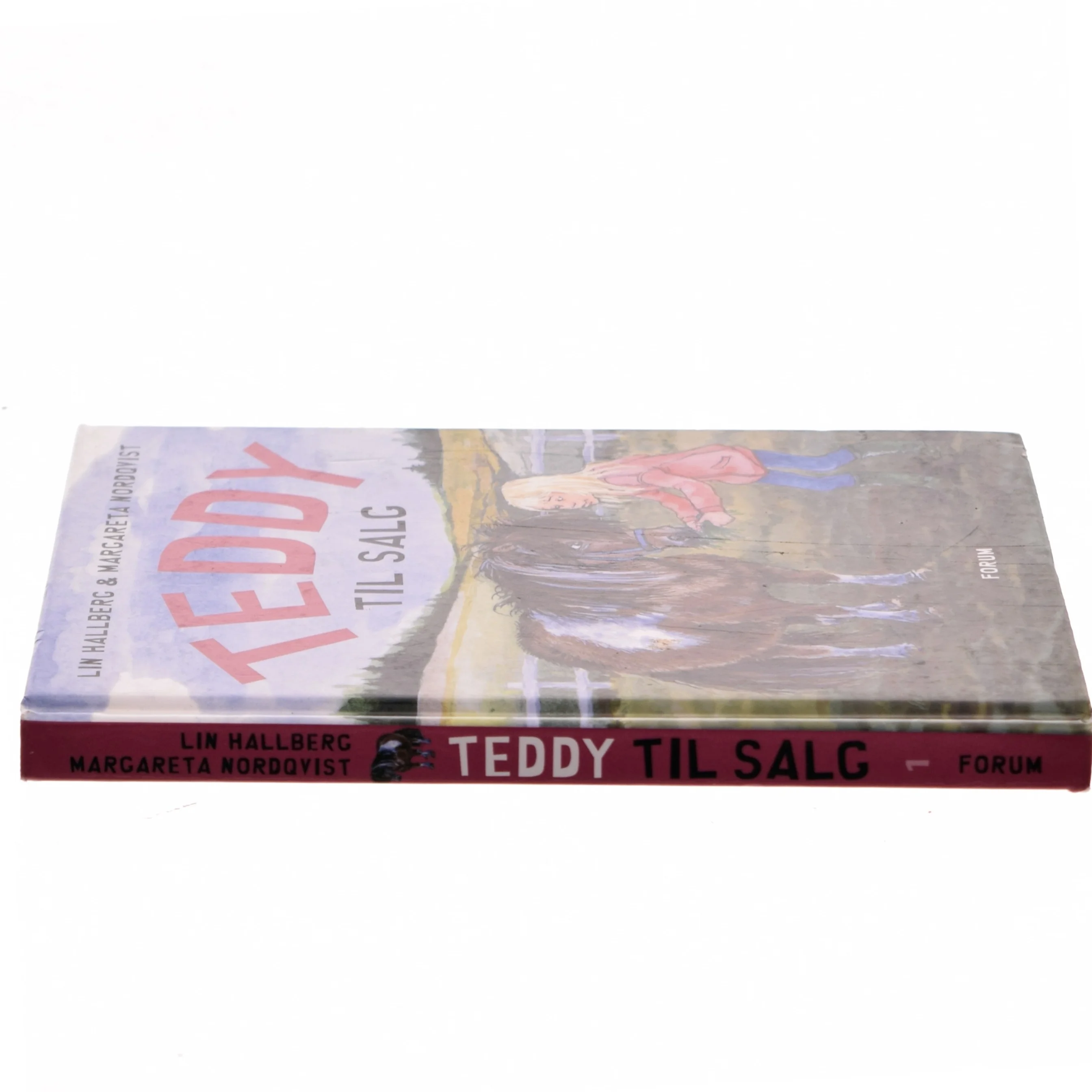 Teddy i huset af Lin Hallberg (Bog)