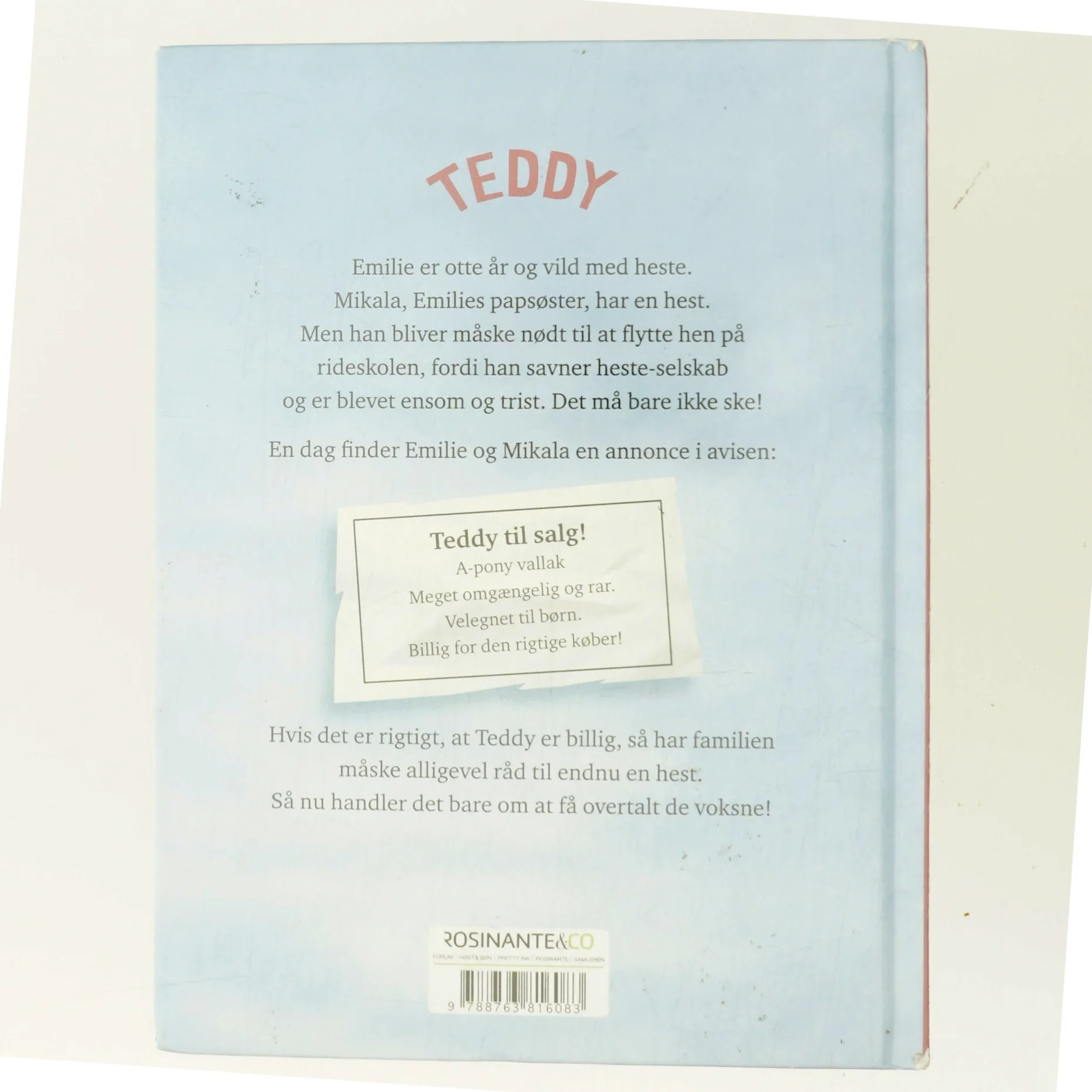 Teddy i huset af Lin Hallberg (Bog)