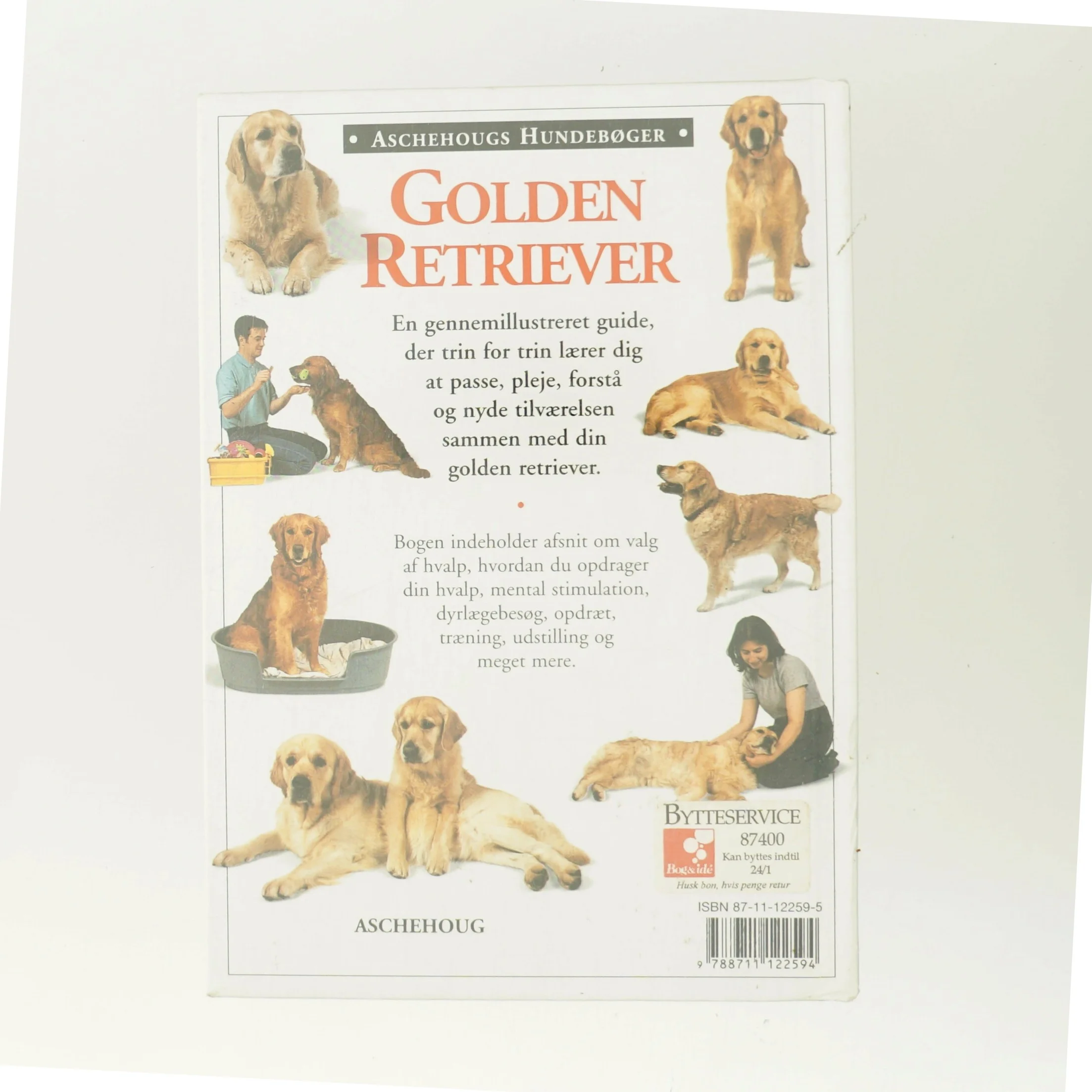 Golden retriever af Bruce Fogle (Bog)