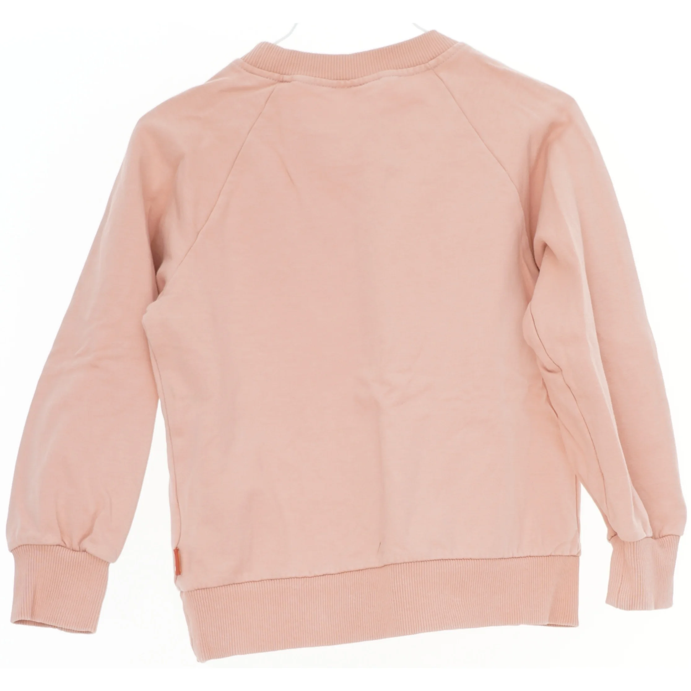 Børne sweatshirts med elefantmotiv fra Dyr (str. 116)