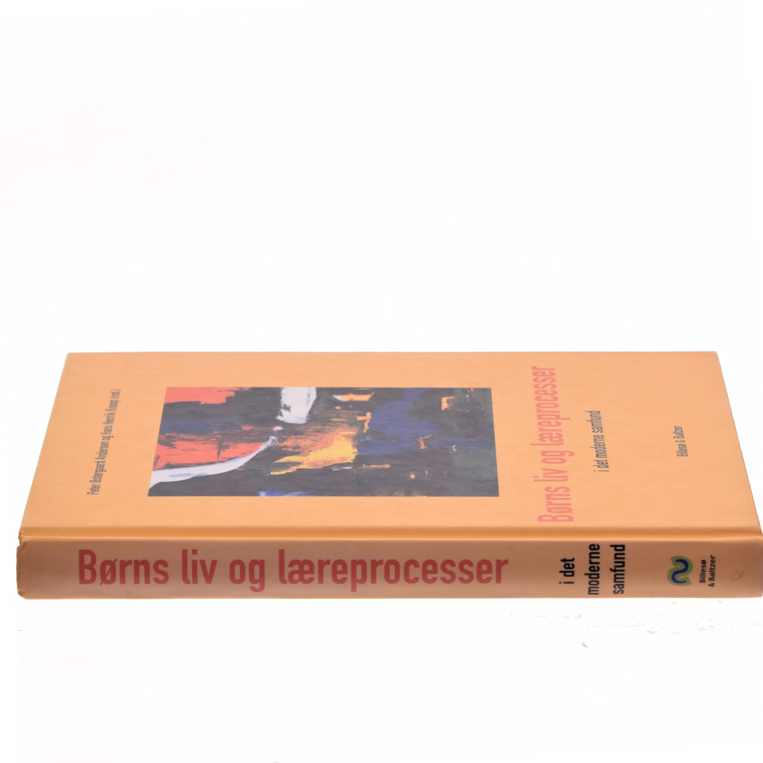 Børns liv og læreprocesser i det moderne samfund (Bog)